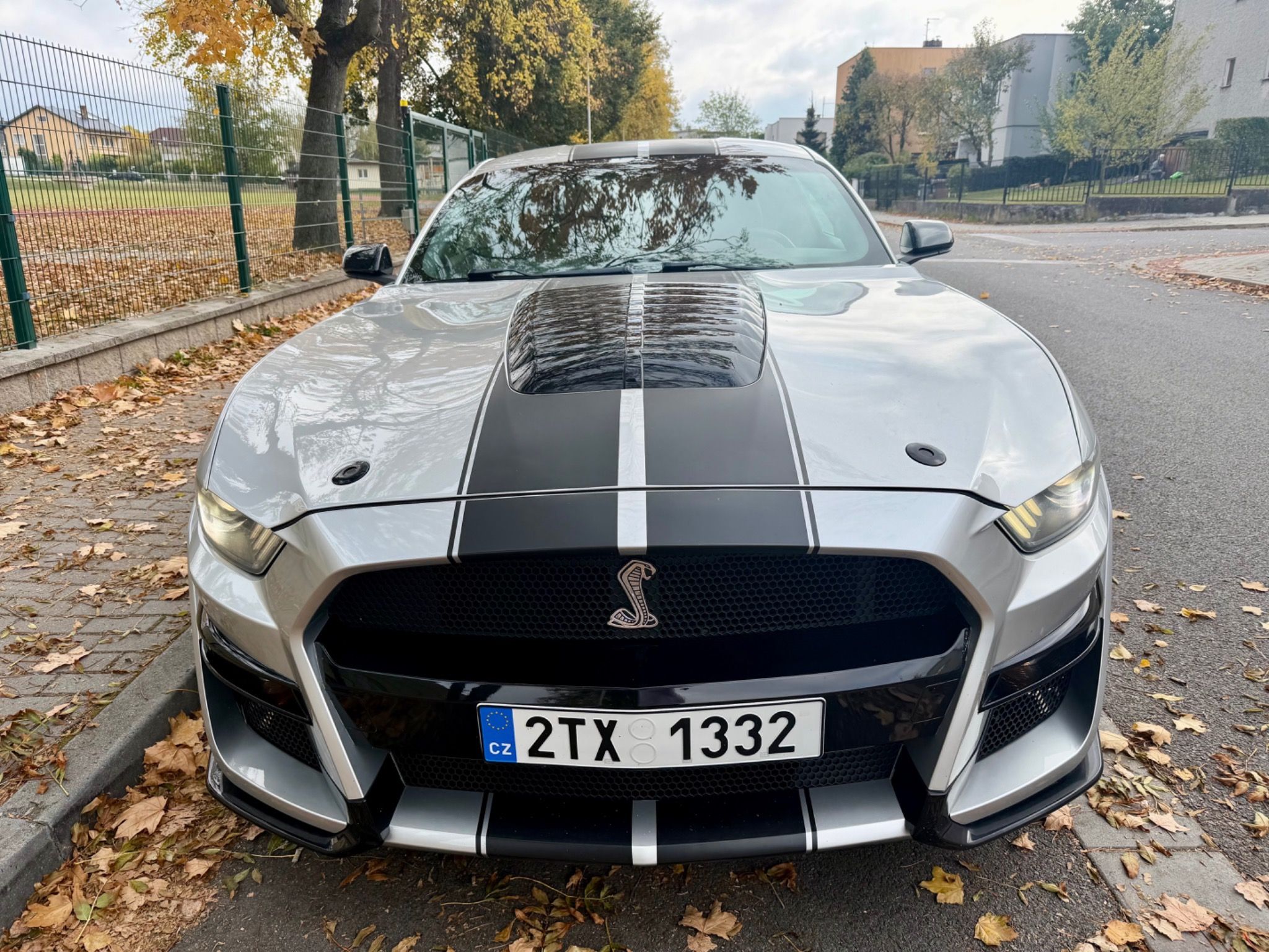 Ford Mustang, 3,[telefon skryt] km - fotka 2