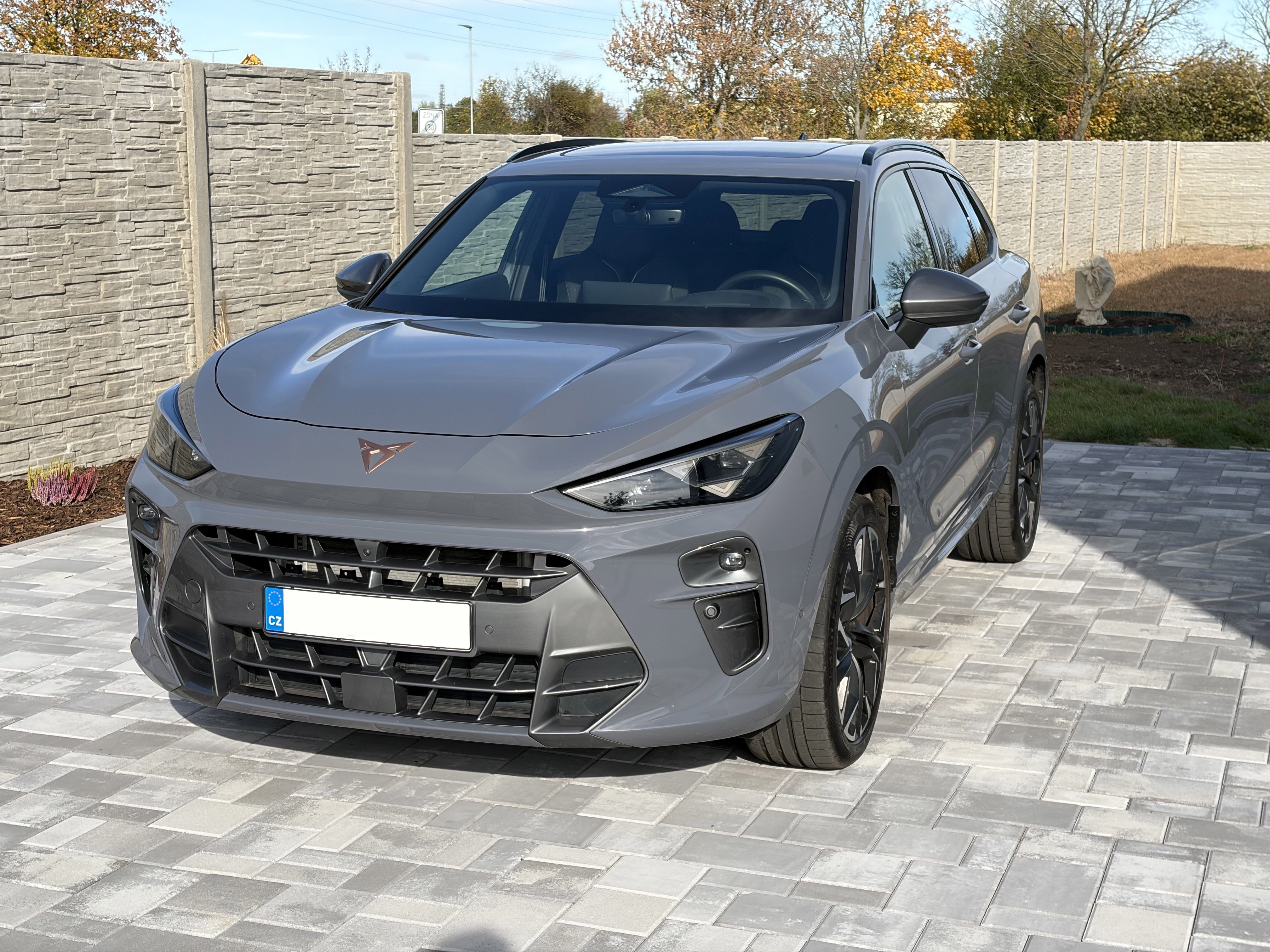Cupra Terramar, VZ, 2.0 TSI, 195 KW + Pneu - fotka 3