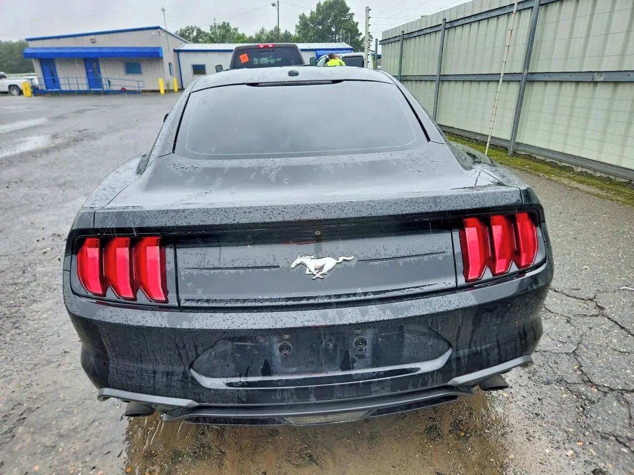 Ford Mustang, Auto na cestě - fotka 6