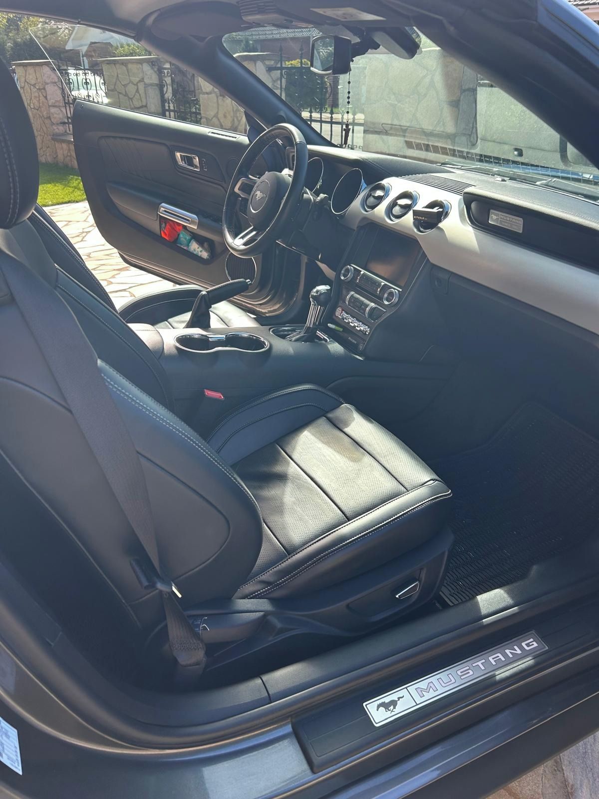Ford Mustang, Ford Mustang Convertible v6 - fotka 2