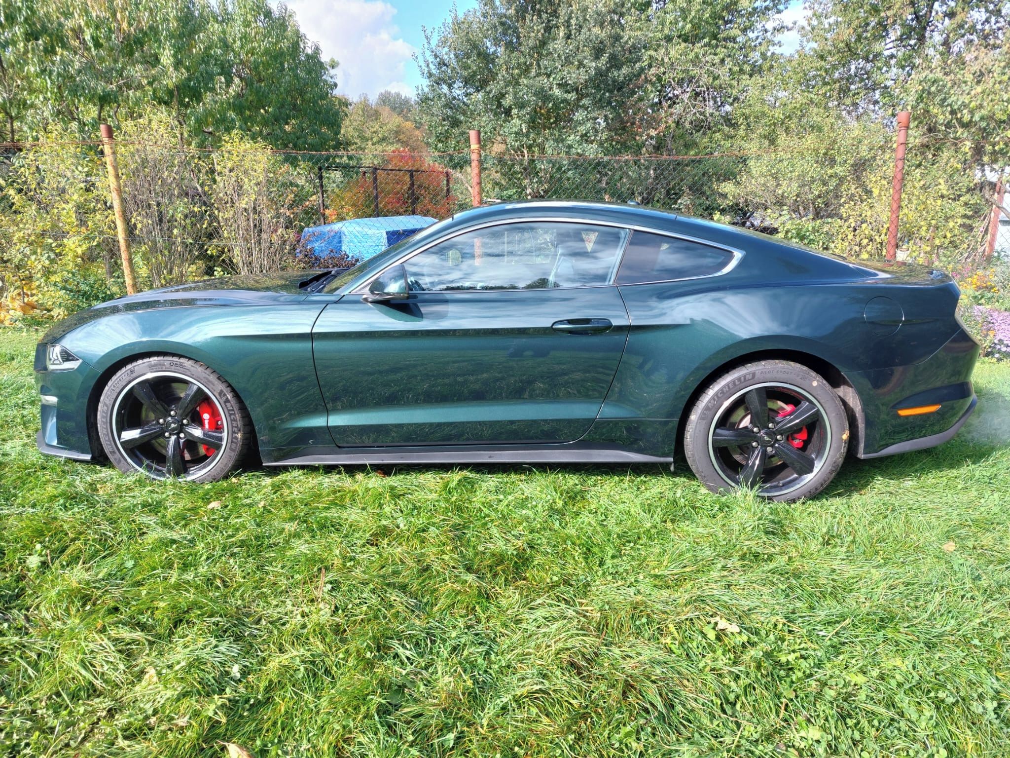 Ford Mustang - fotka 2