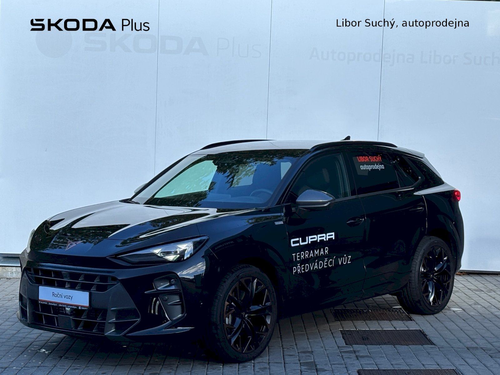 Cupra Terramar, 2.0 TSI 150 kW DSG 4WD