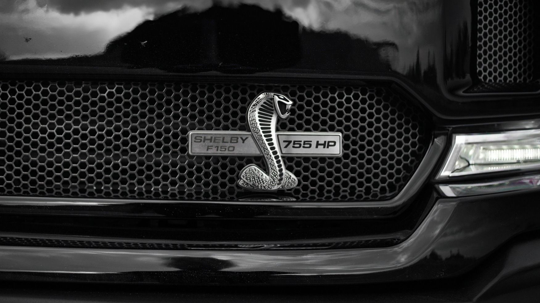 Ford F-150, Shelby 5.0 V8 775 HP - fotka 6
