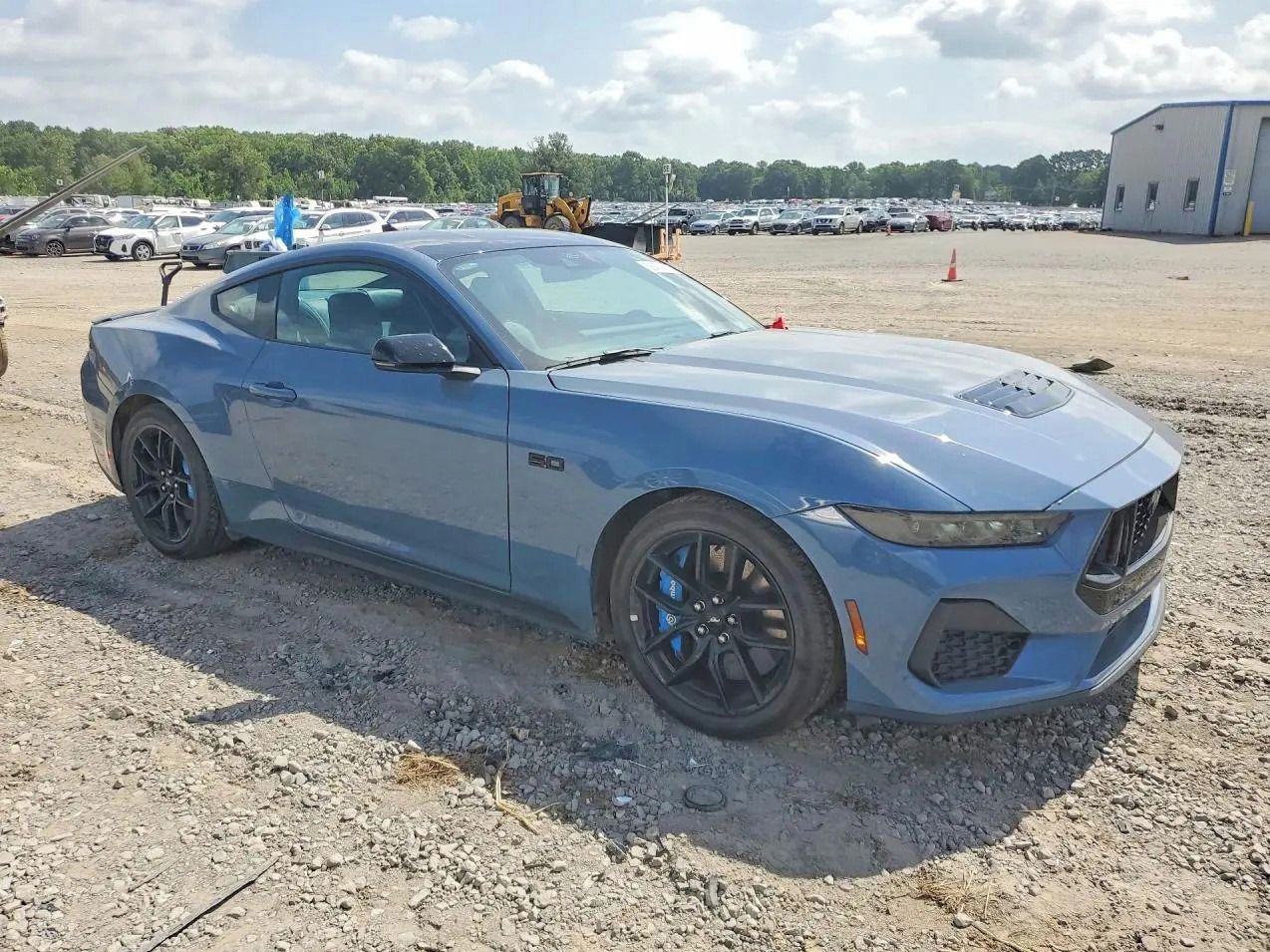 Ford Mustang, Auto na cestě - fotka 2