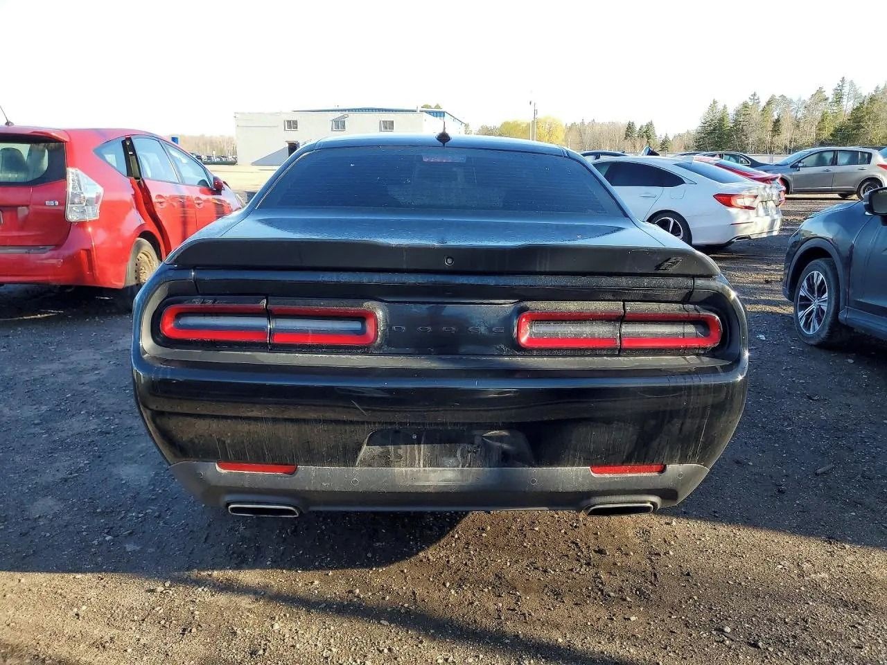 Dodge Challenger, Auto na cestě - fotka 6