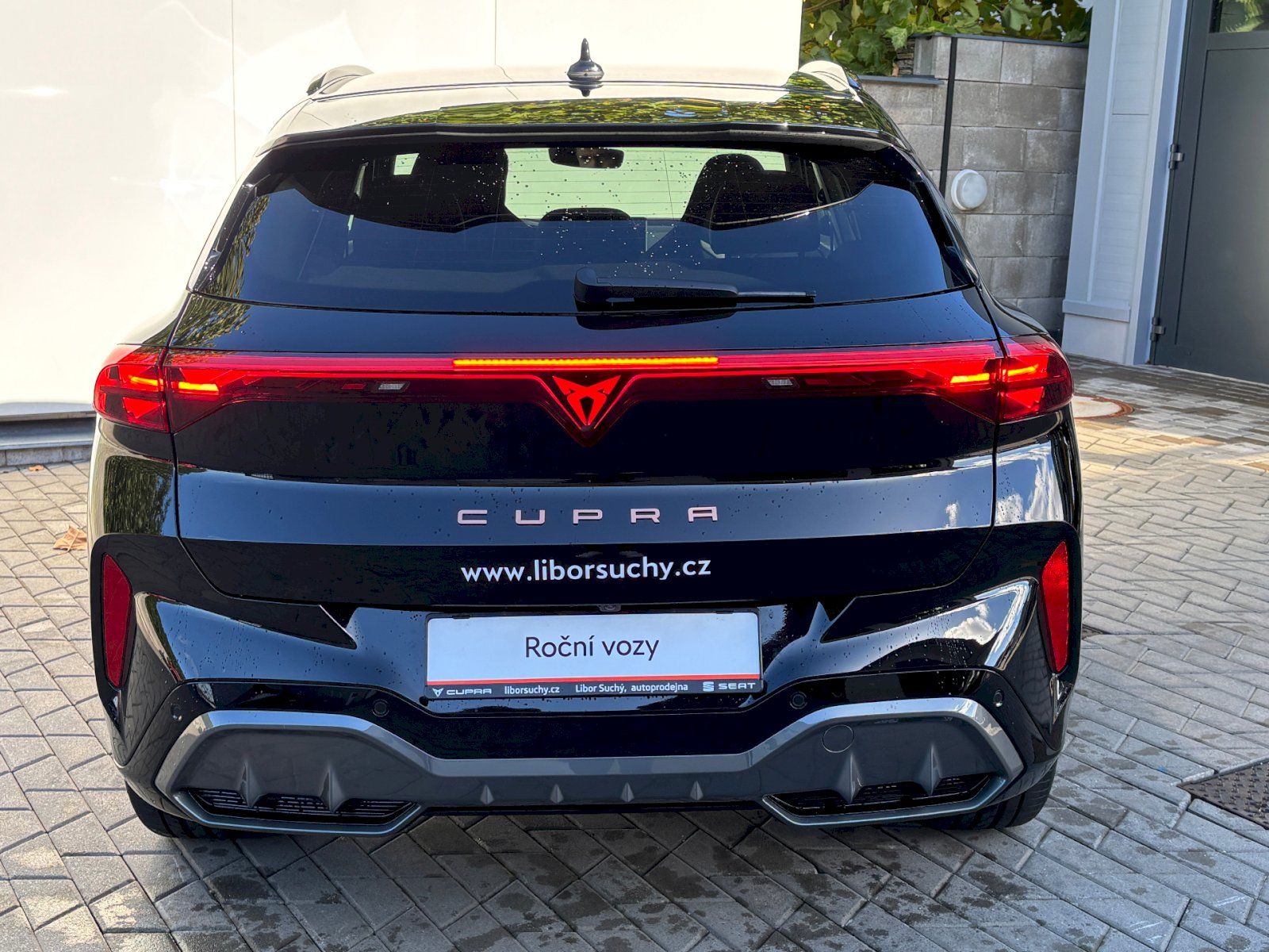 Cupra Terramar, 2.0 TSI 150 kW DSG 4WD - fotka 6