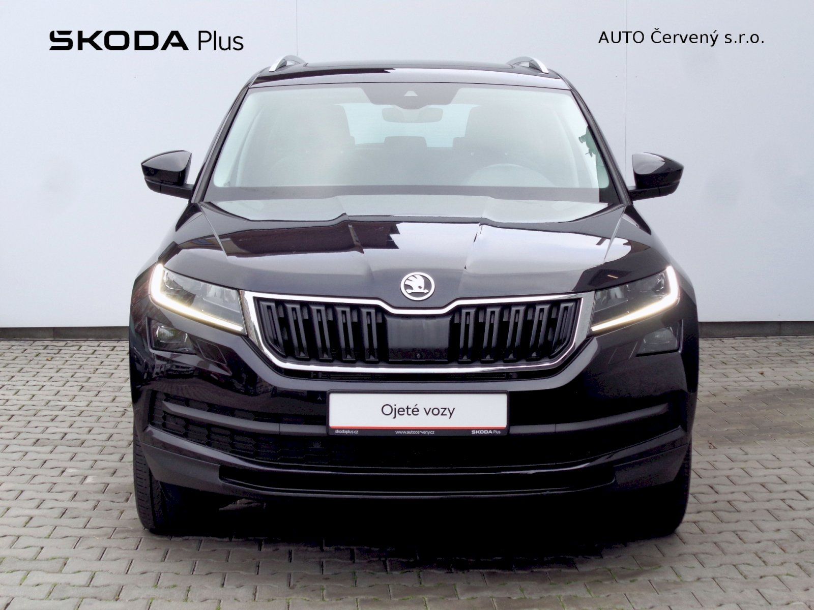 Škoda Kodiaq, 4x4 2.0 TSI 132 kW DSG Style C - fotka 4
