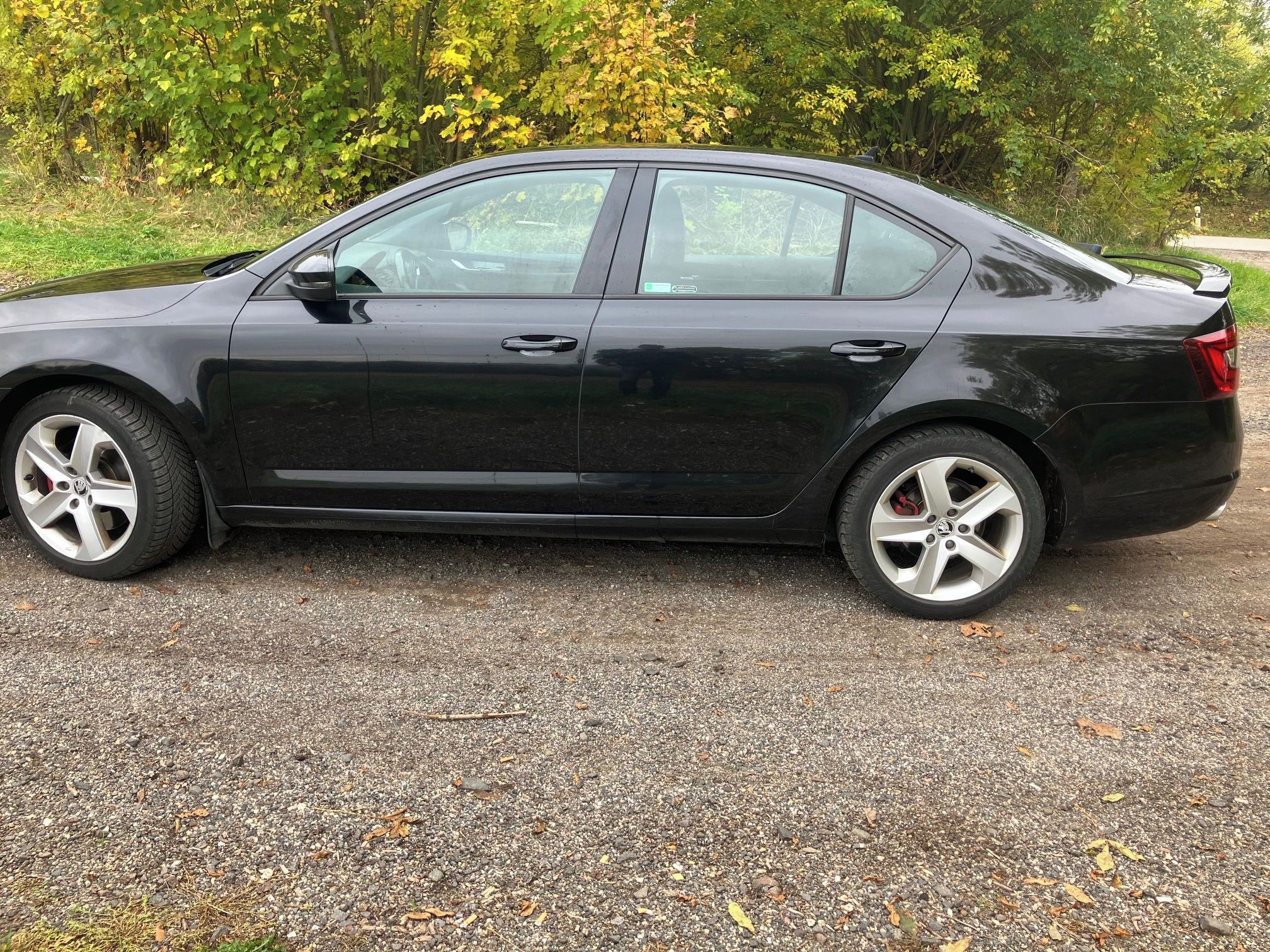 Škoda Octavia, Škoda Octavia RS - fotka 5