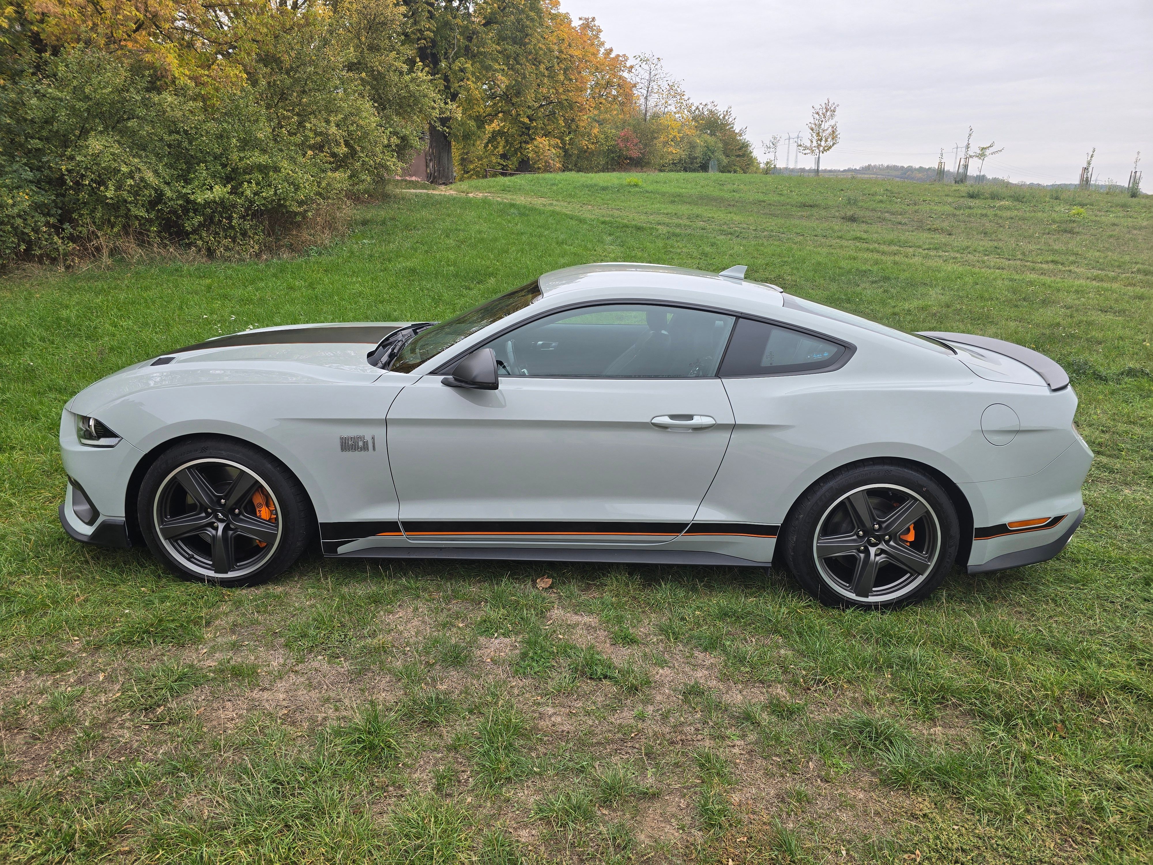 Ford Mustang, FORD MUSTANG MACH 1,338kW 2022 - fotka 2