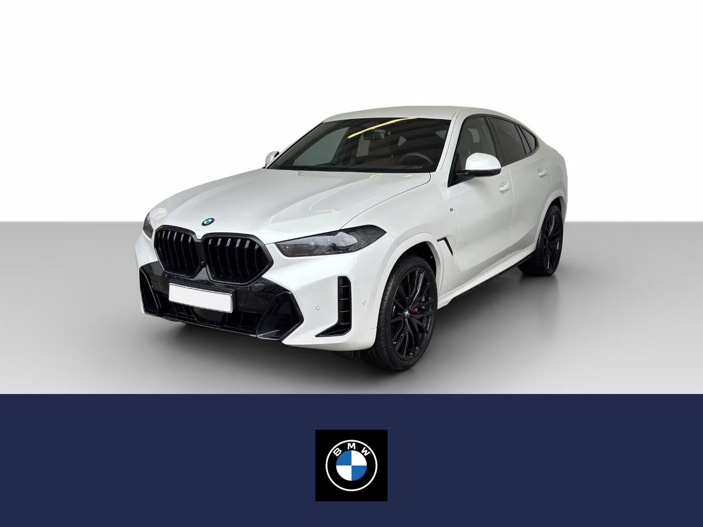 BMW X6, xDrive 30dA M Sport Pro*Navi*