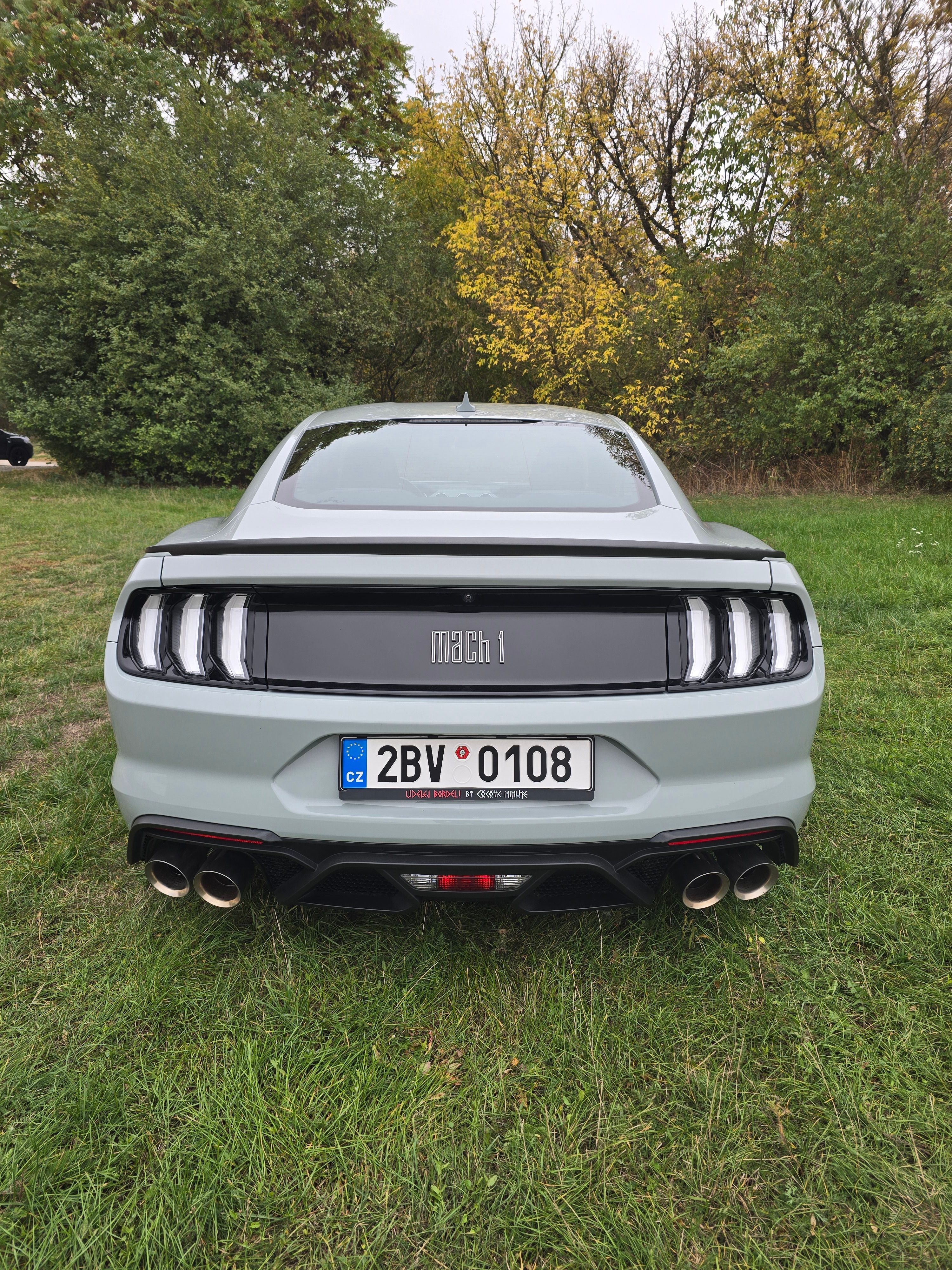 Ford Mustang, FORD MUSTANG MACH 1,338kW 2022 - fotka 4