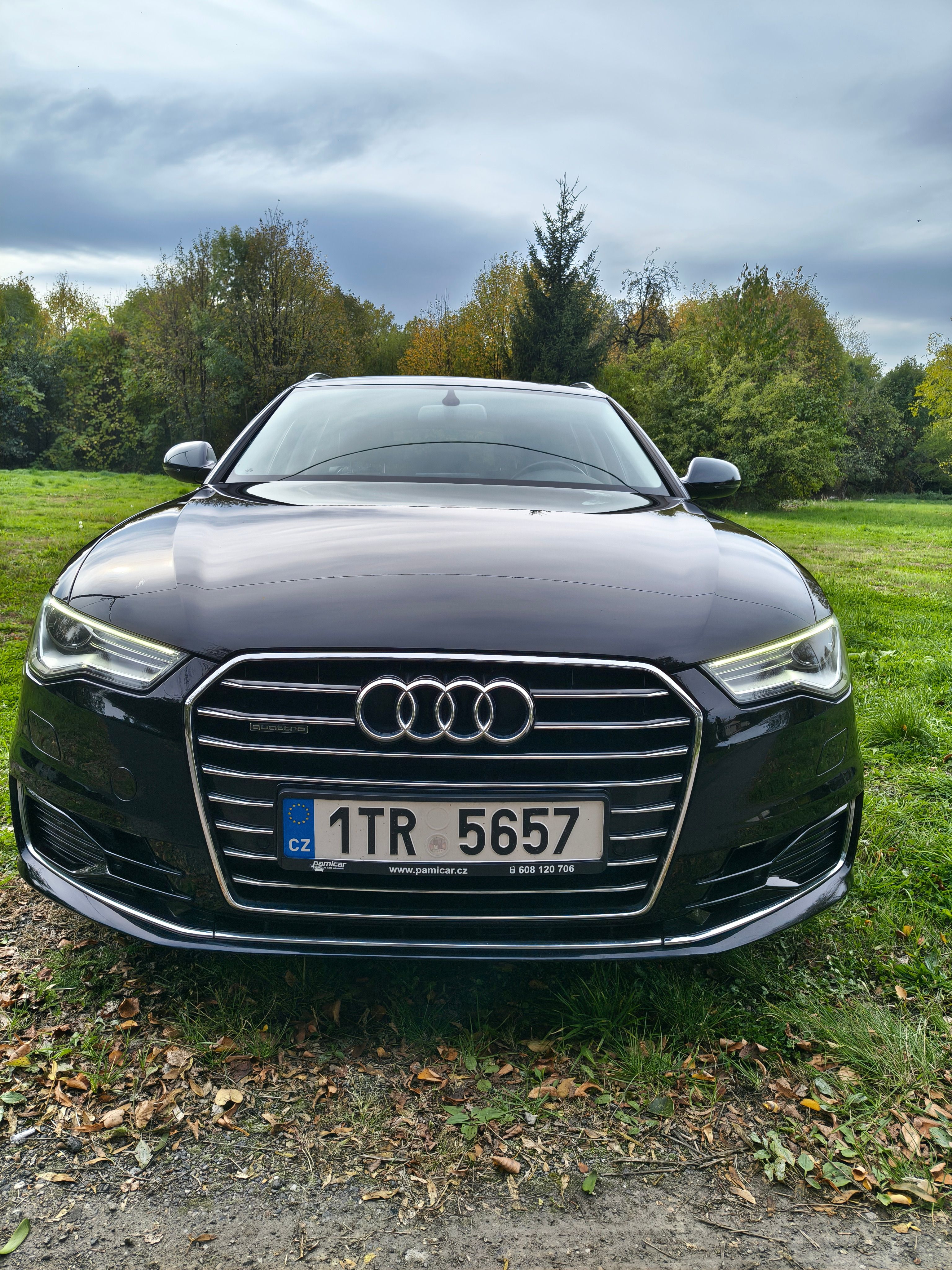 Audi A6, Audi A6, 3.0 TDI 220 KW - fotka 2