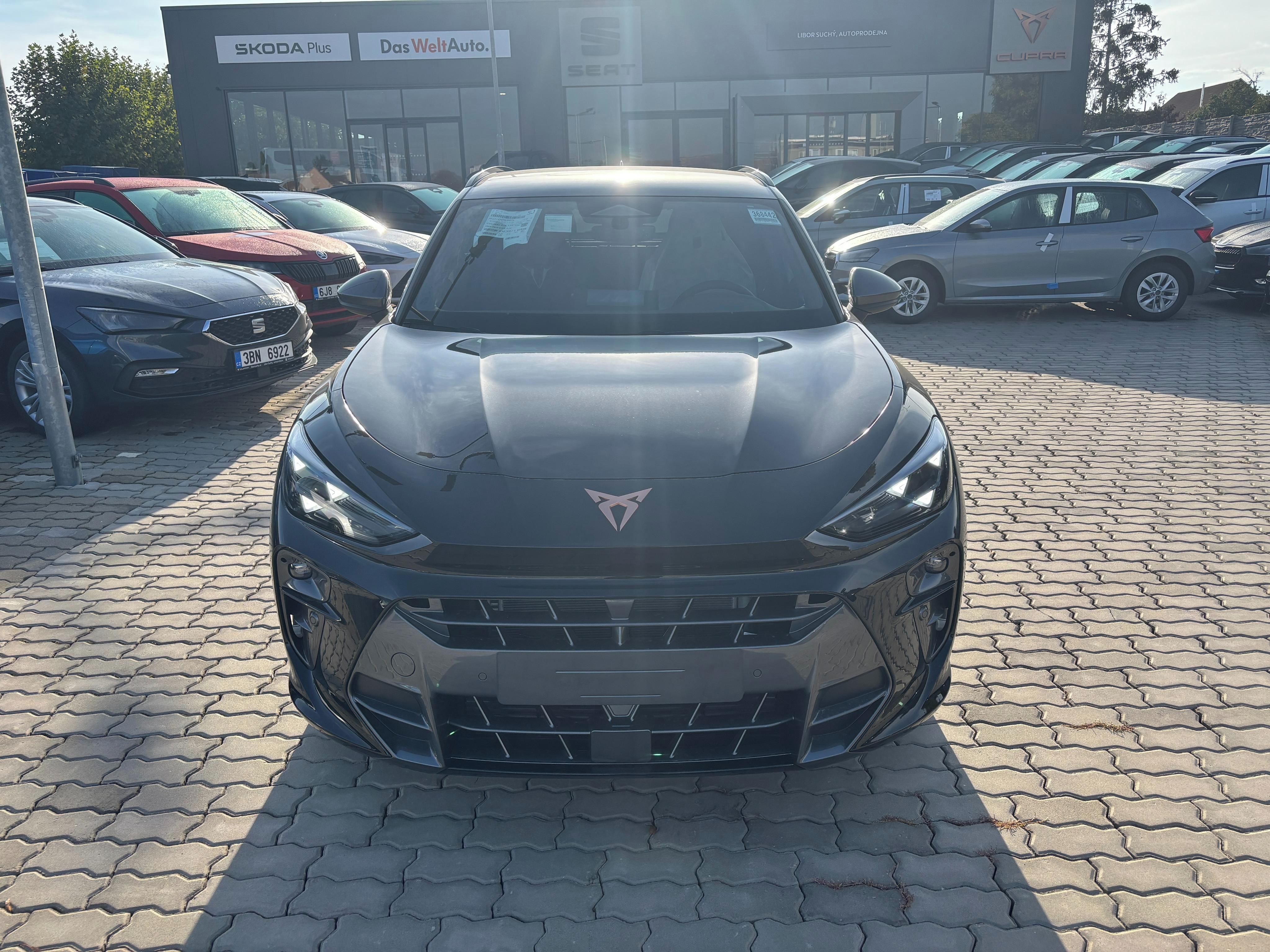 Cupra Terramar, 2.0 TSI 204k DSG 4WD - fotka 2