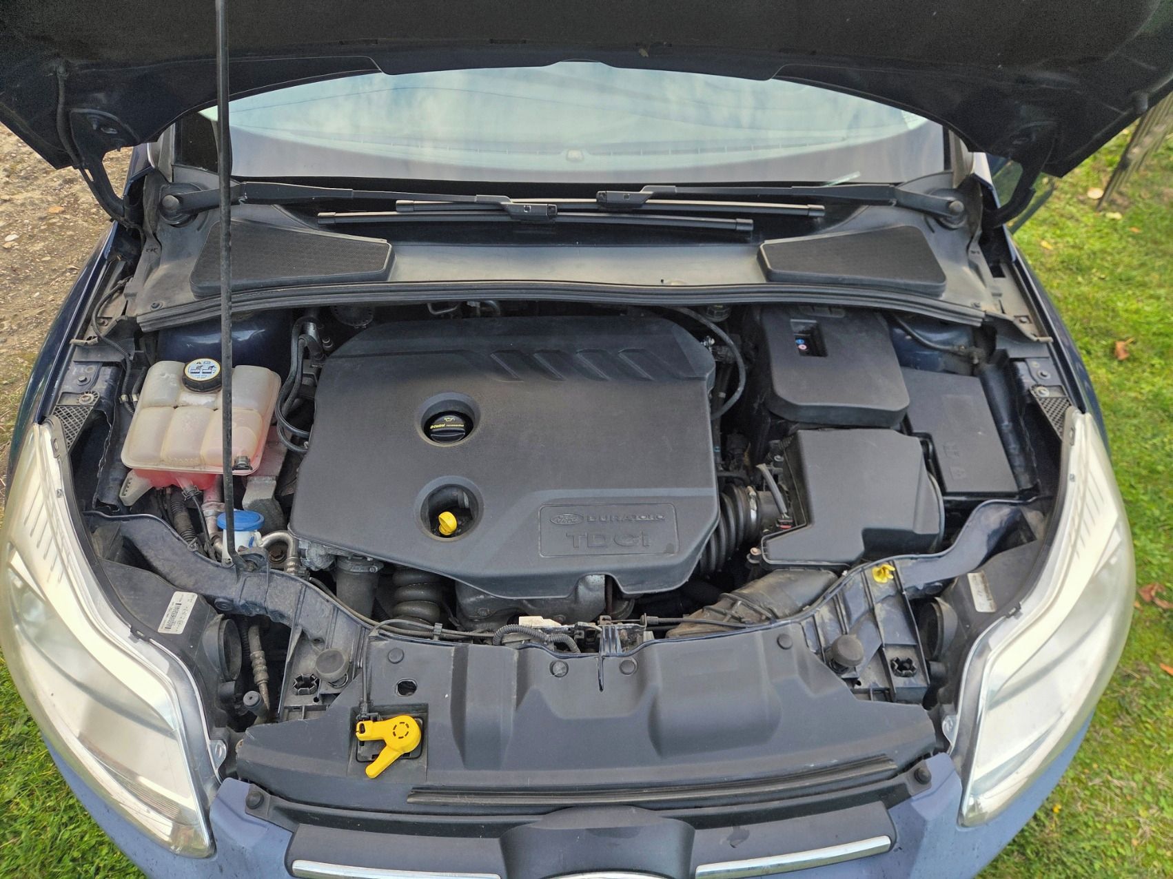 Ford Focus, Ford focus 1.6 - fotka 6