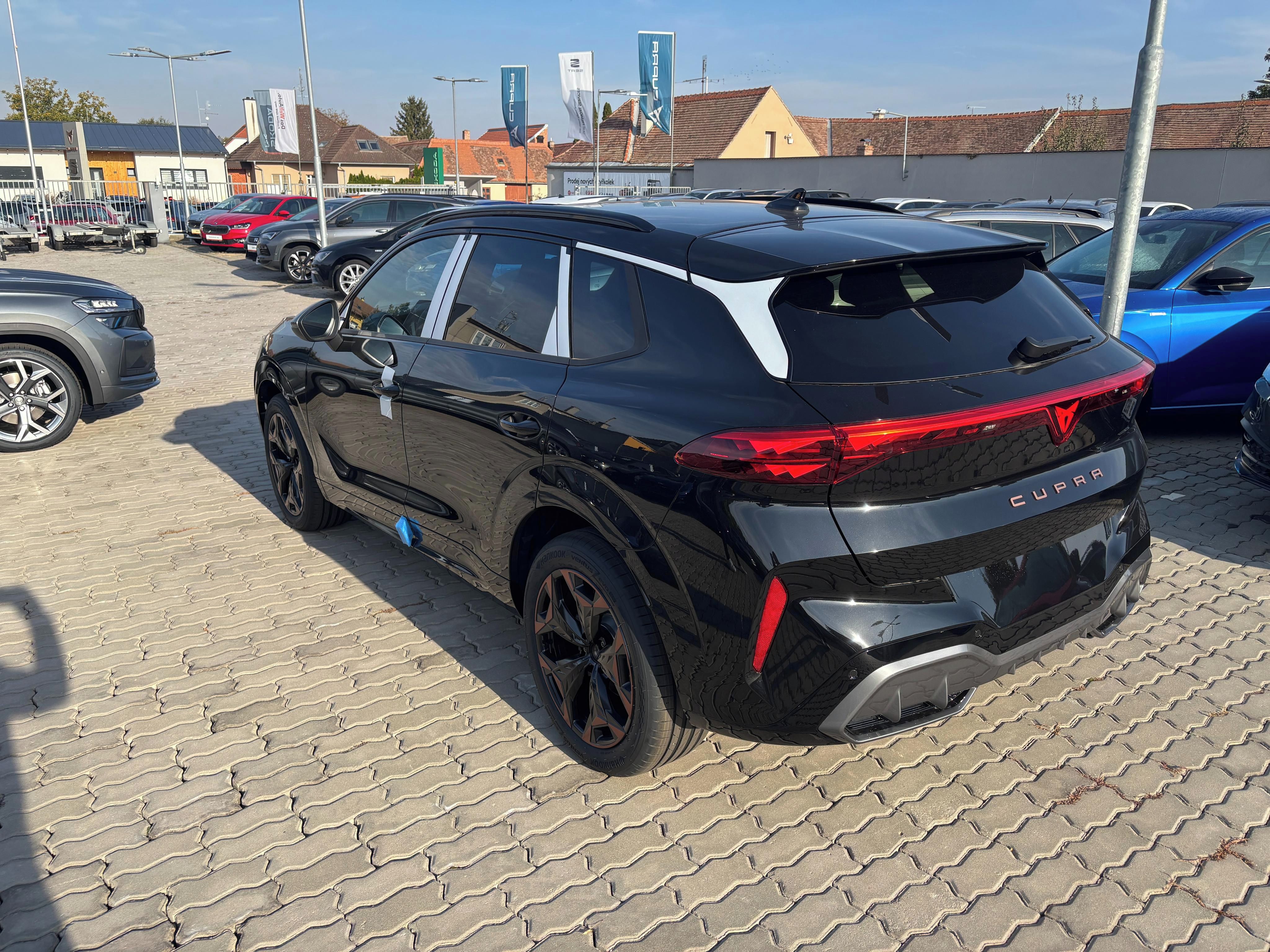Cupra Terramar, 2.0 TSI 204k DSG 4WD - fotka 3