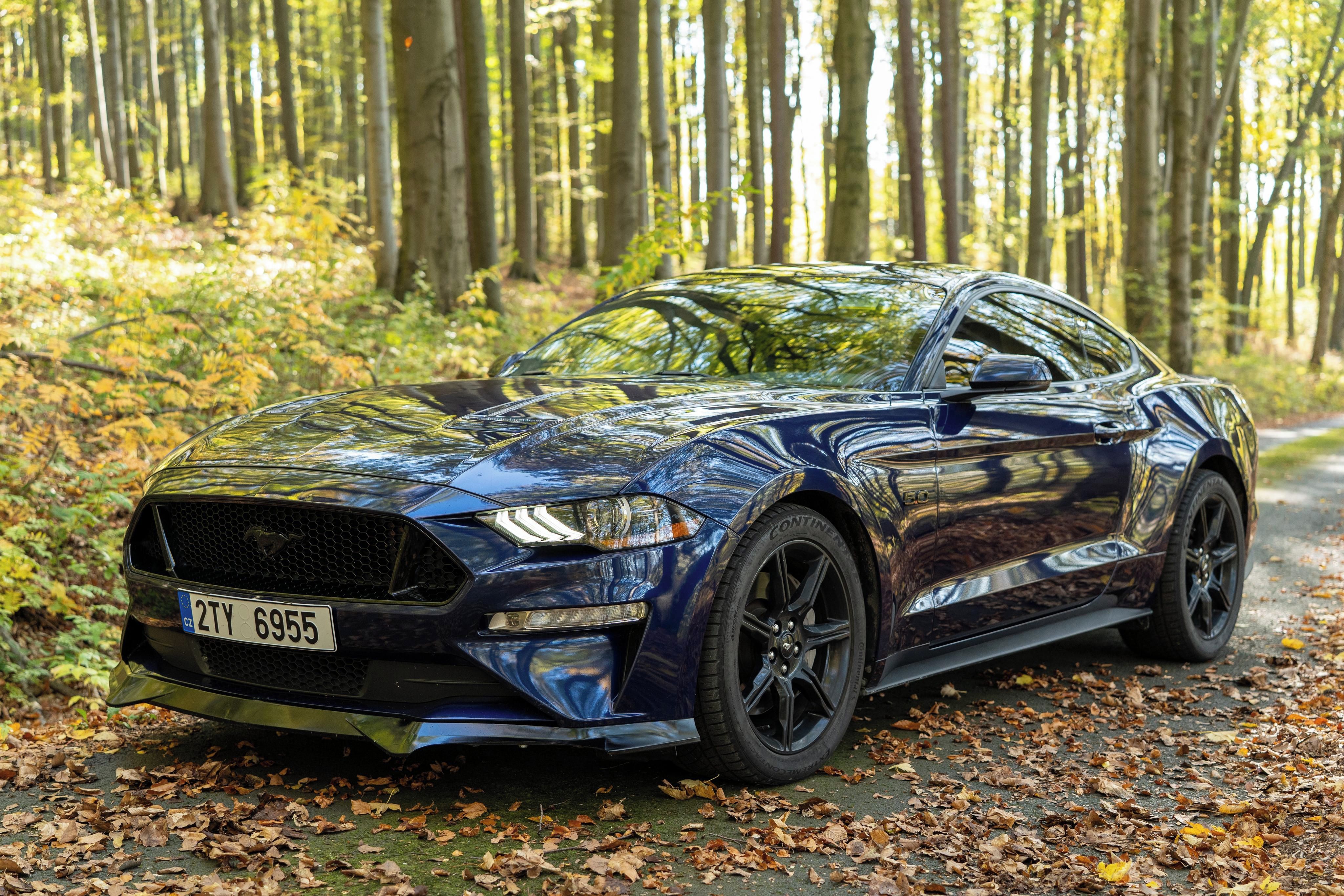 Ford Mustang, GT 5.0 V8, 55 Years, Premium - fotka 2