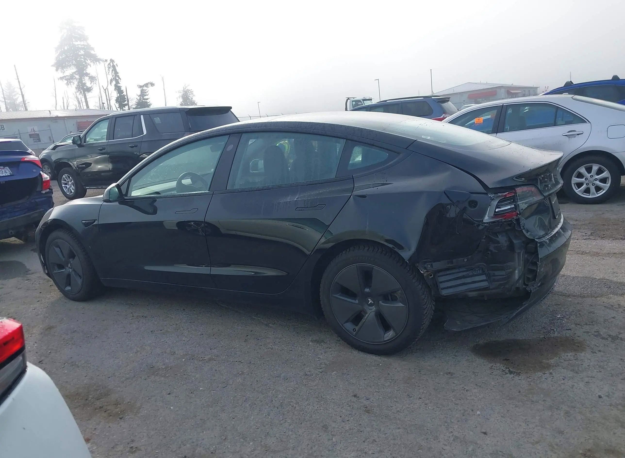 Tesla Model 3, Auto na cestě - fotka 4