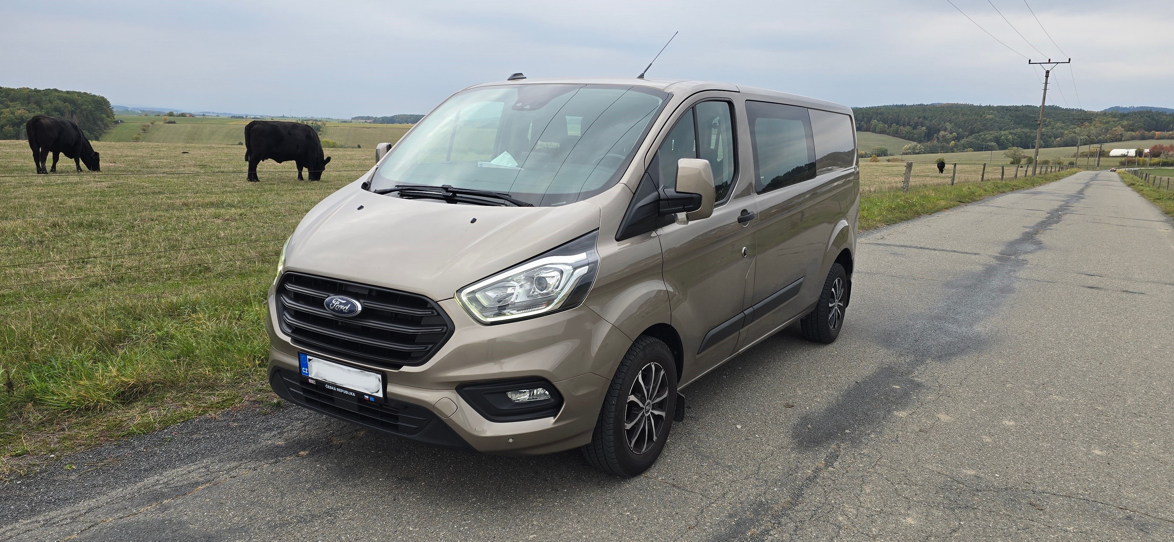 Ford Transit Custom, EcoBlue hybrid H1L2