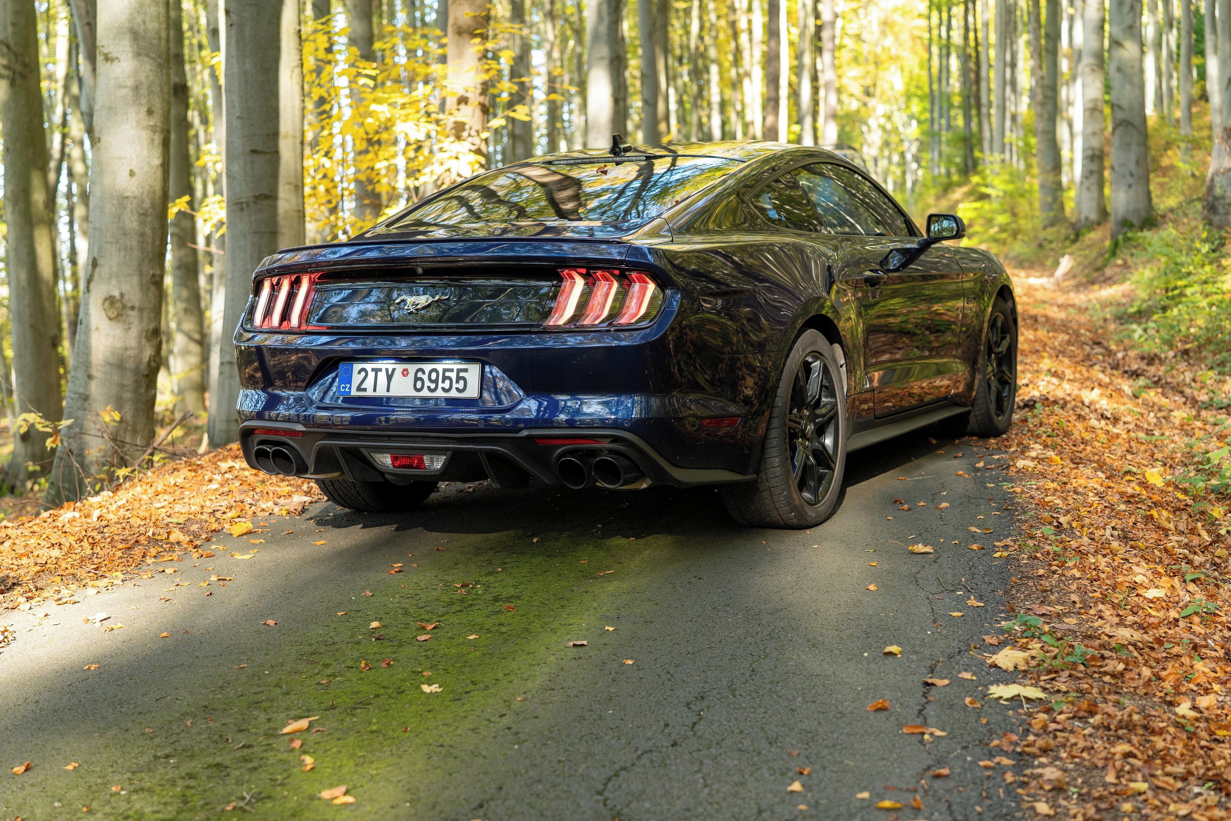 Ford Mustang, GT 5.0 V8, 55 Years, Premium - fotka 4