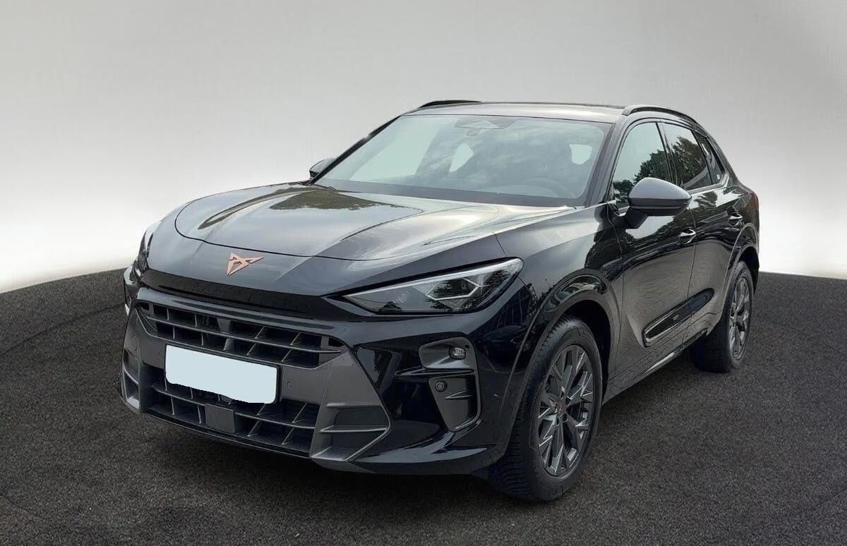 Cupra Terramar, 2.0 TSI 4Drive DSG*Kůže*Navi* - fotka 3