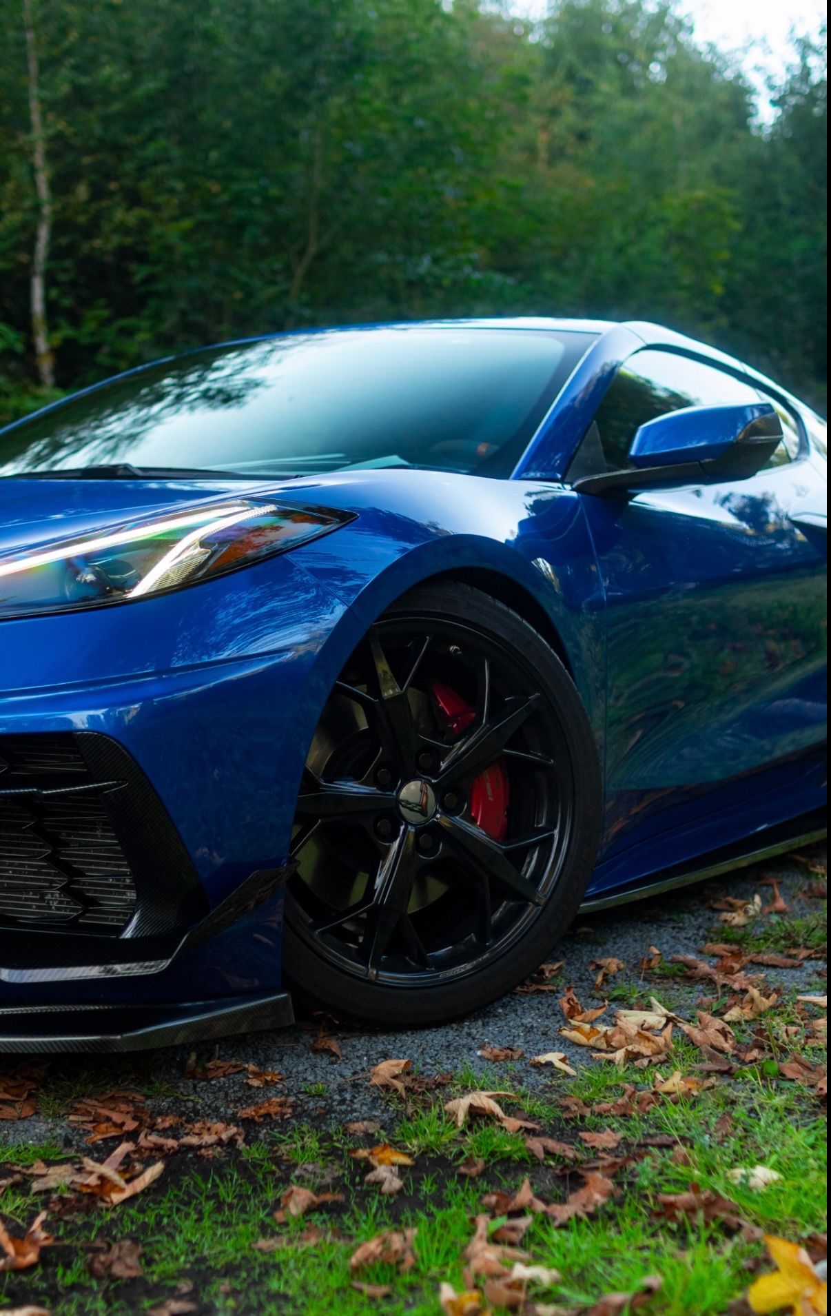 Chevrolet Corvette, C8 Stingray 3LT Z51 | carbon - fotka 4