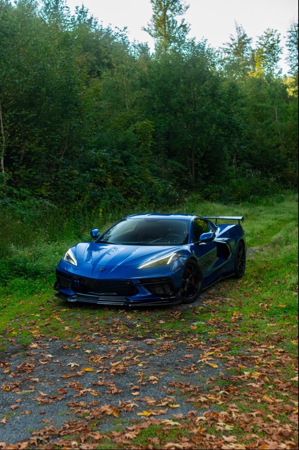 Chevrolet Corvette, C8 Stingray 3LT Z51 | carbon