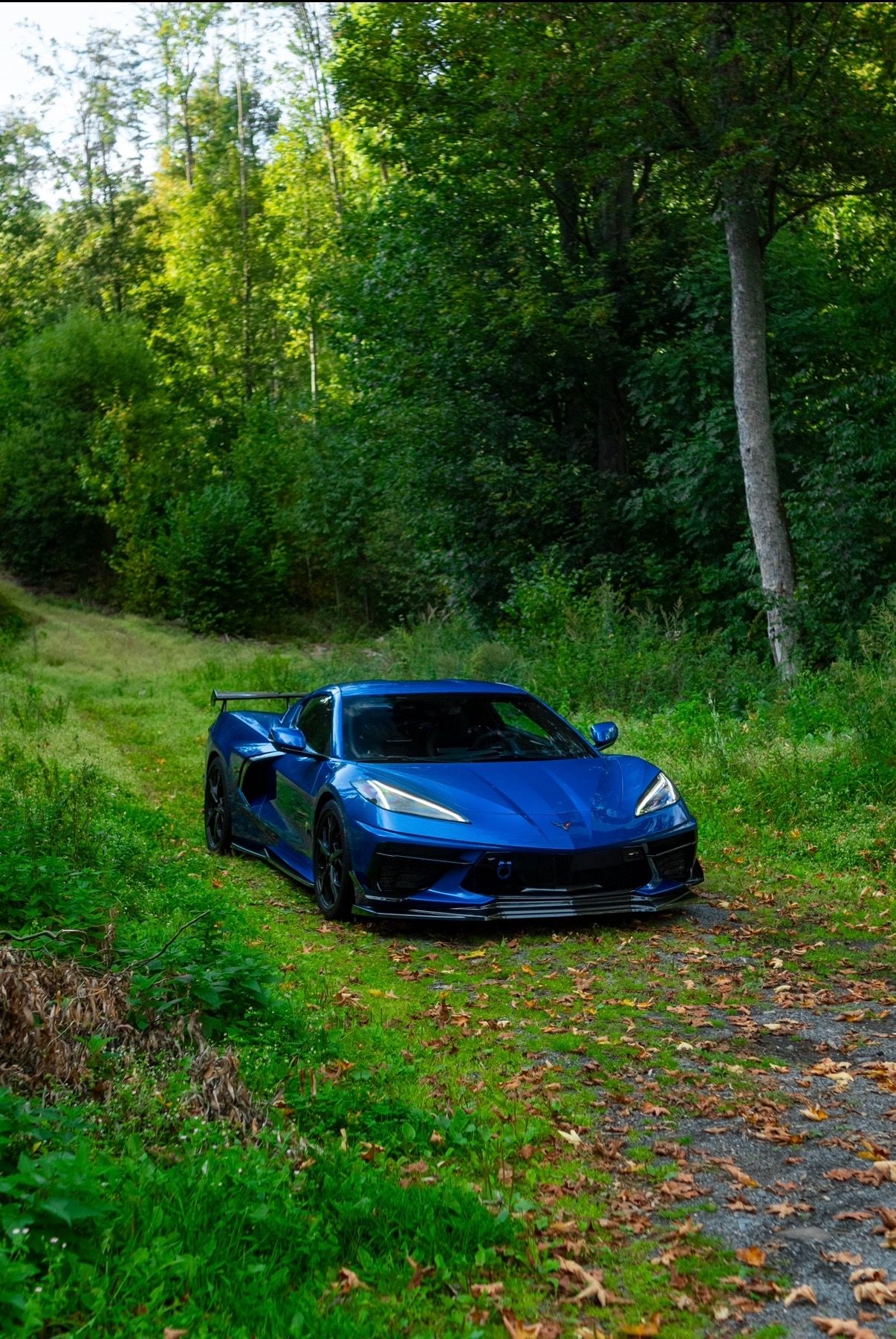 Chevrolet Corvette, C8 Stingray 3LT Z51 | carbon - fotka 2