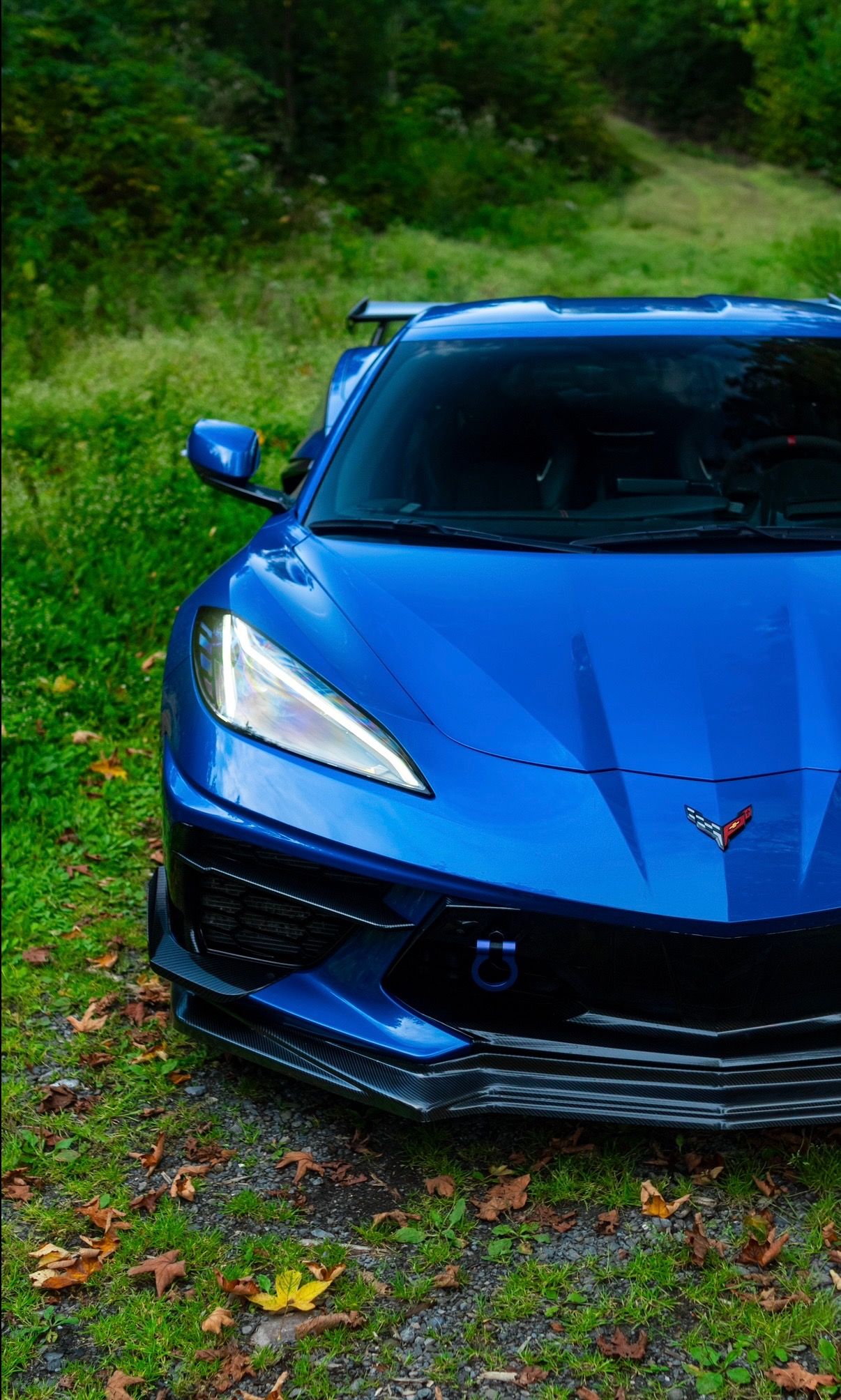 Chevrolet Corvette, C8 Stingray 3LT Z51 | carbon - fotka 3