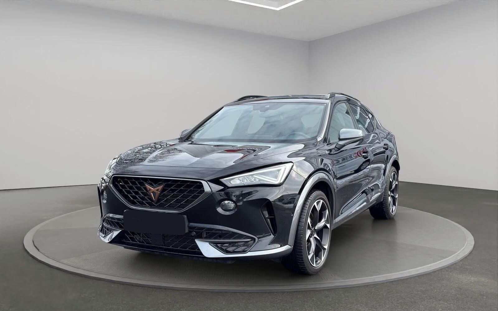 Cupra Formentor, VZ 2.0 TSI DSG *Kamera*Navi* - fotka 3