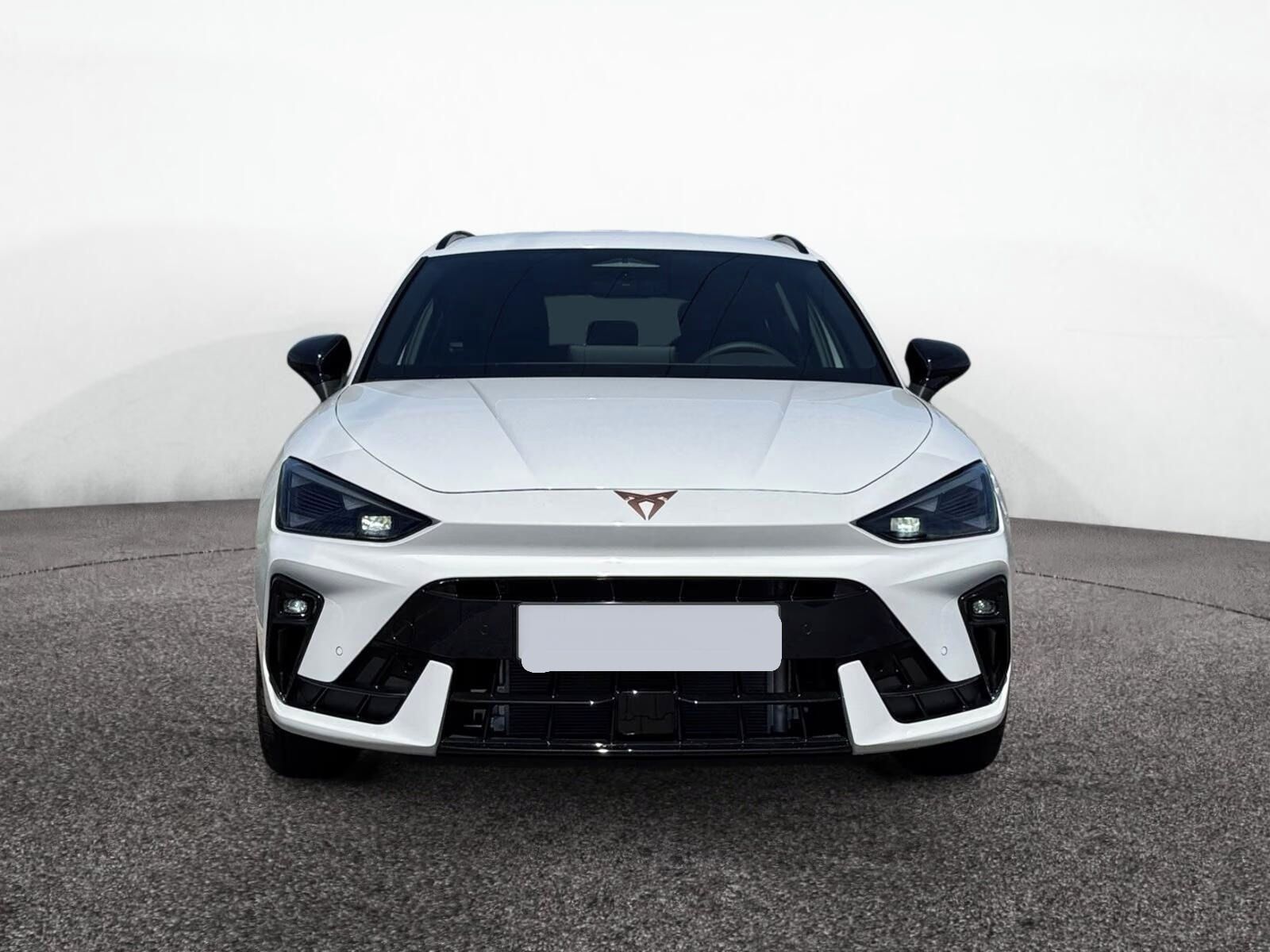 Cupra Leon, ST 2.0 TSI  4Drive*Kamera* - fotka 3