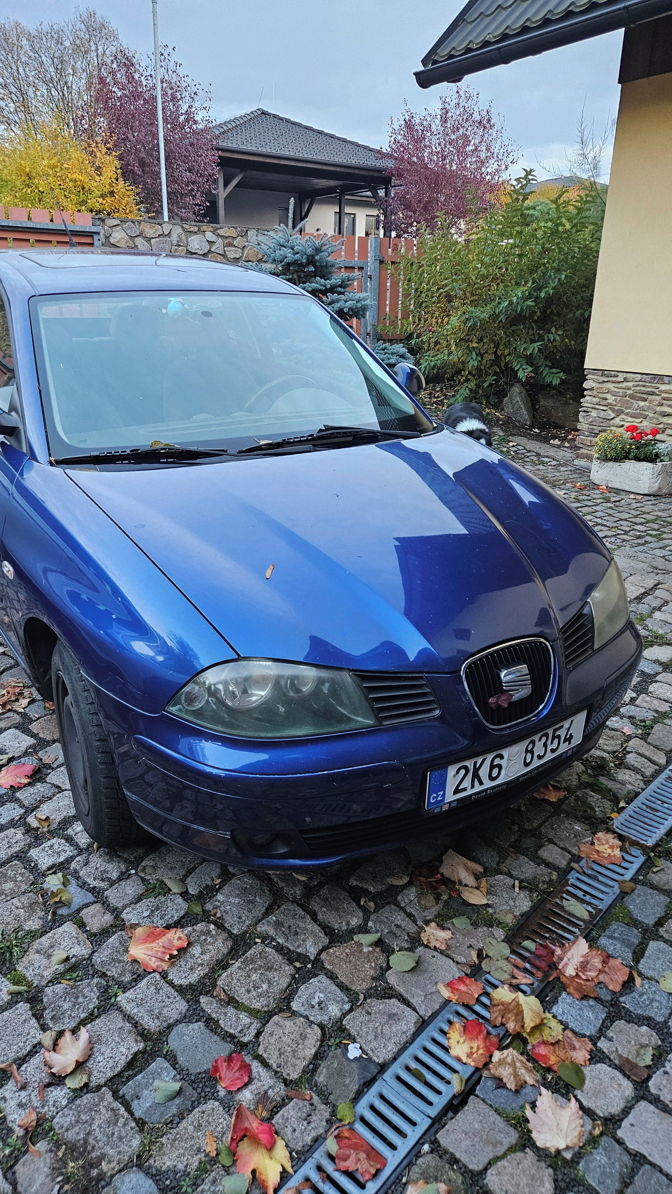 Seat Ibiza, Seat Ibiza 1,2 - fotka 2