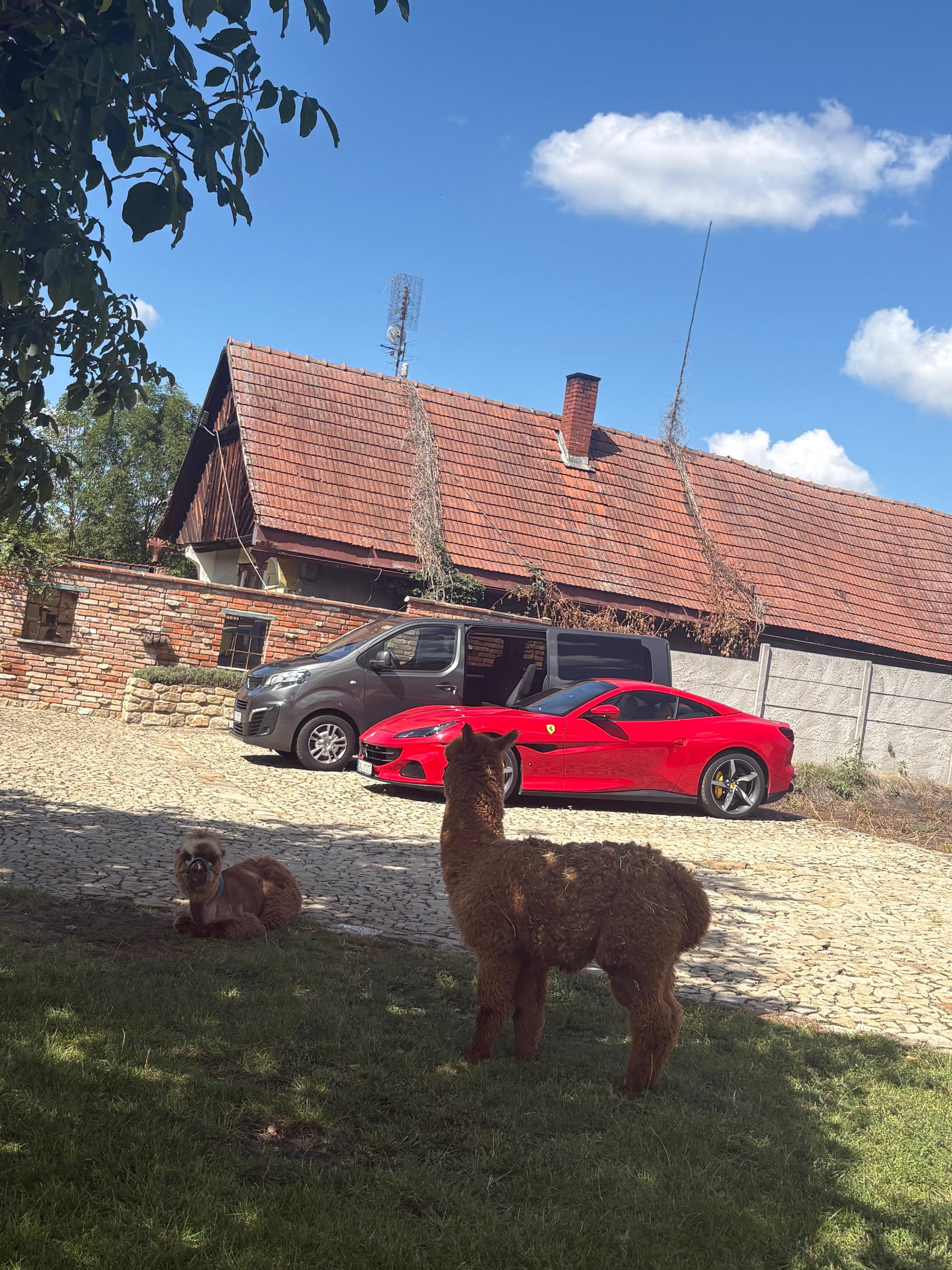 Peugeot Traveller, 8 míst/navigace/carplay/tažné - fotka 2
