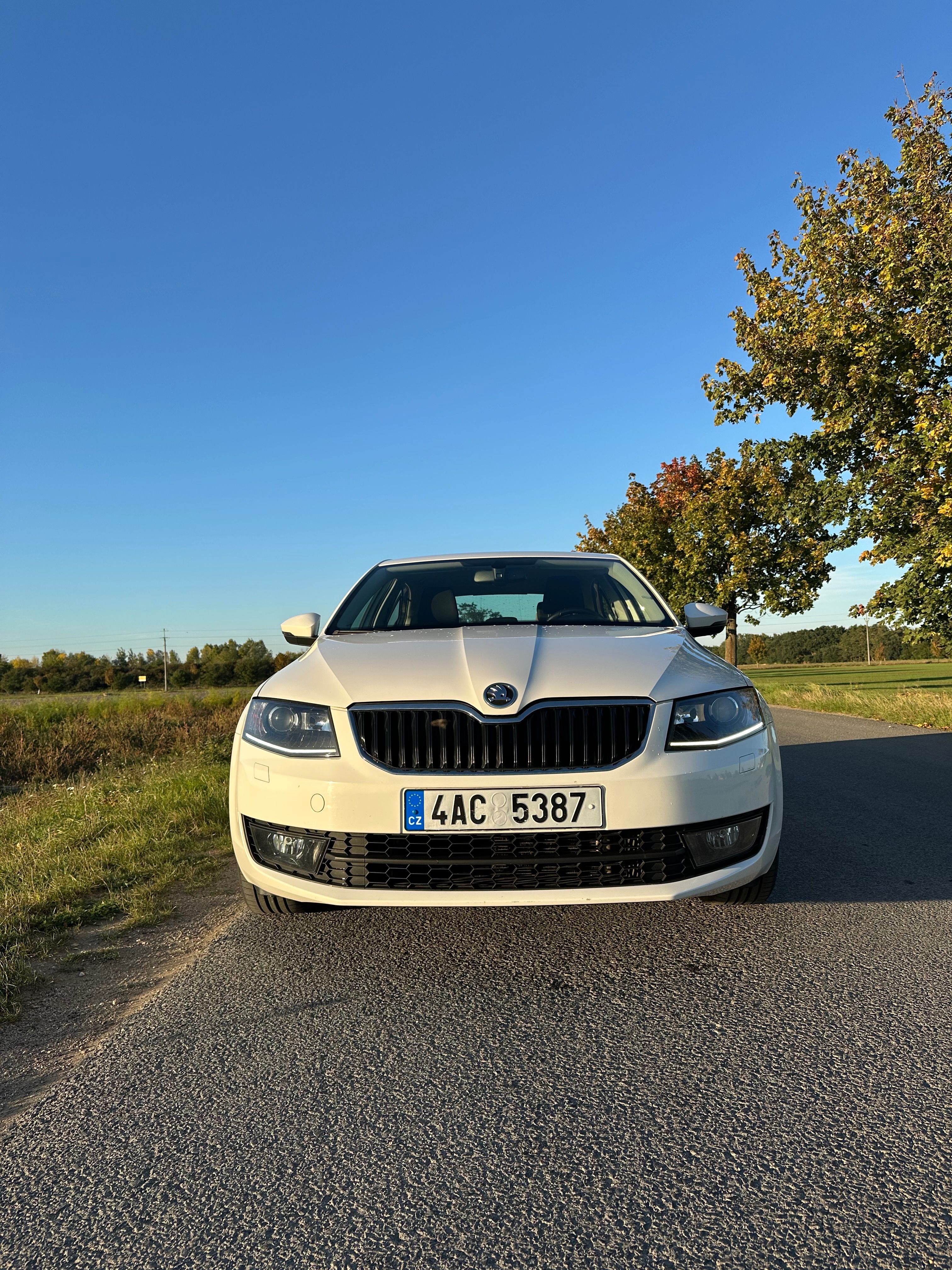 Škoda Octavia, 1.4 Tsi, 2maj.ČR původ - fotka 6