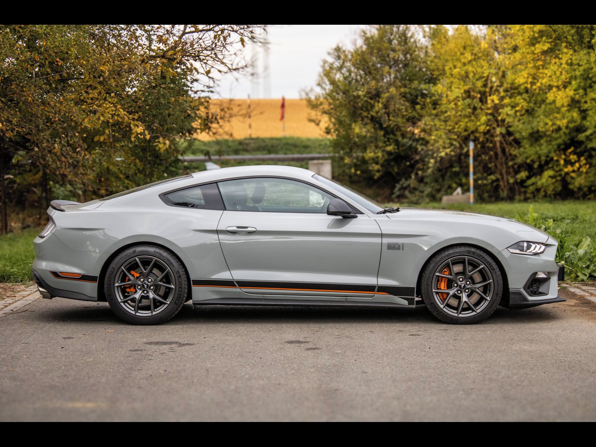 Ford Mustang - fotka 4