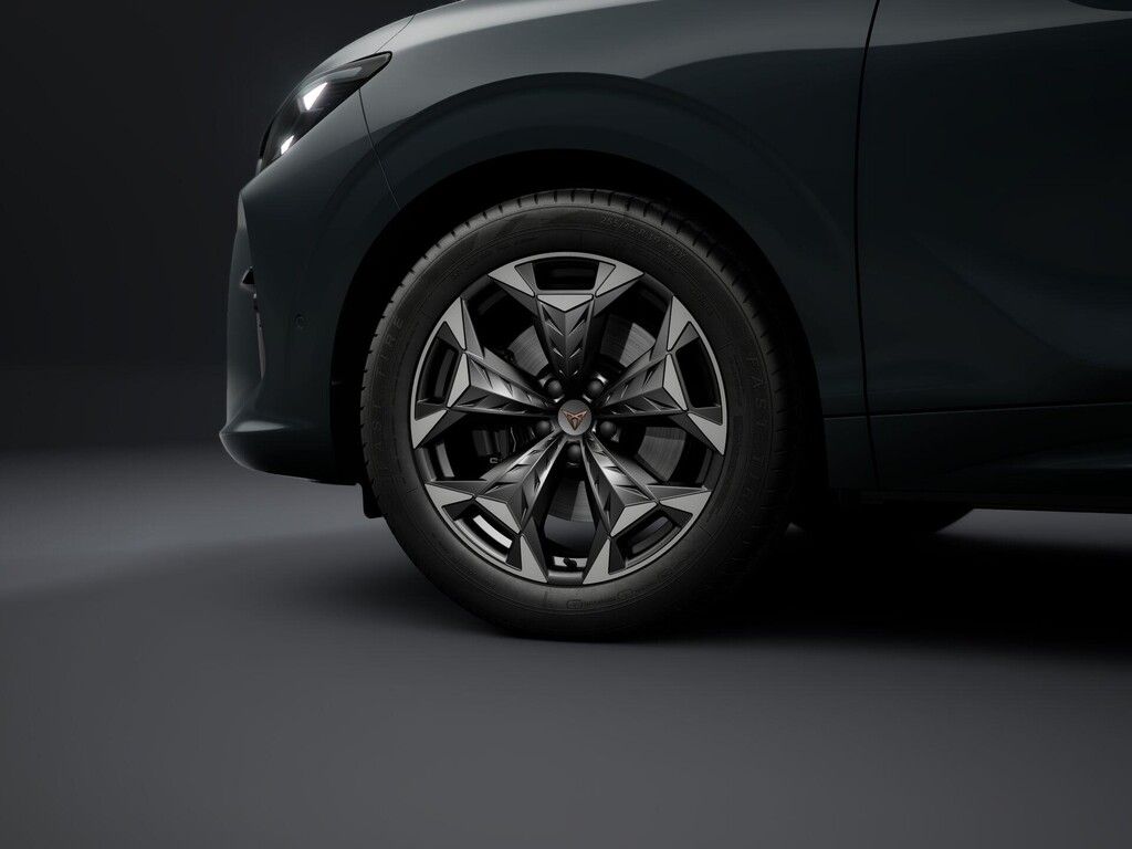 Cupra Terramar, 2.0 TSI 195kW 4WD DSG - fotka 4