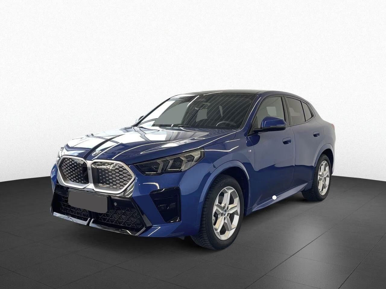 BMW iX2, eDrive 20 M SPORT*Kamera*Navi*