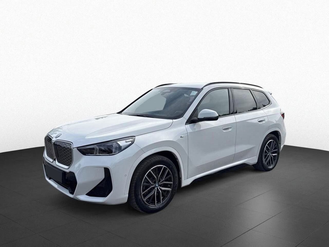 BMW iX1, xDrive 30 M Sport*Kamera*Navi*