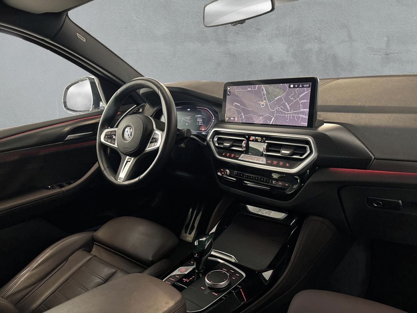 BMW X4, xDrive 30d M Sport *Kůže*Navi* - fotka 6
