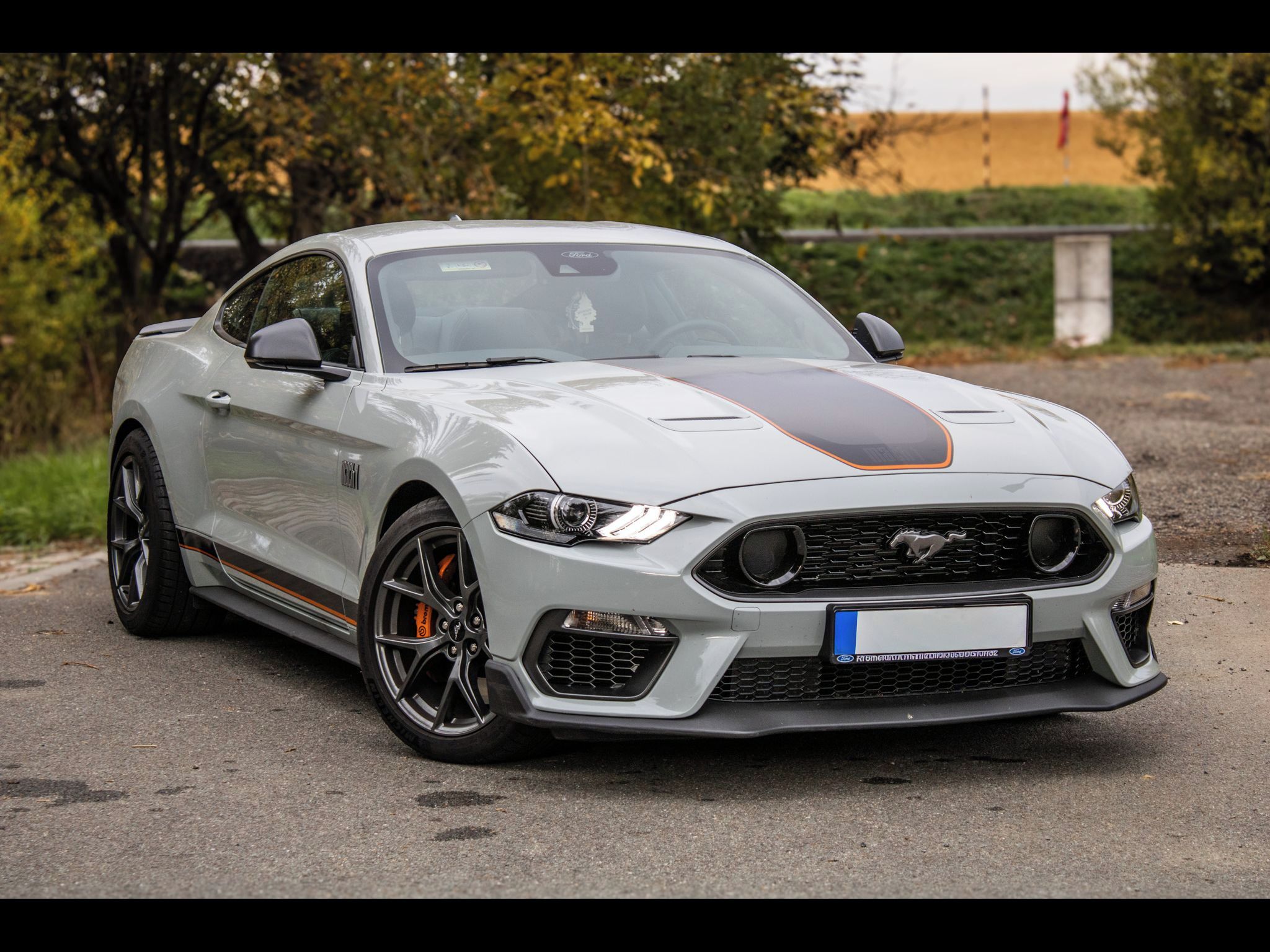 Ford Mustang - fotka 3