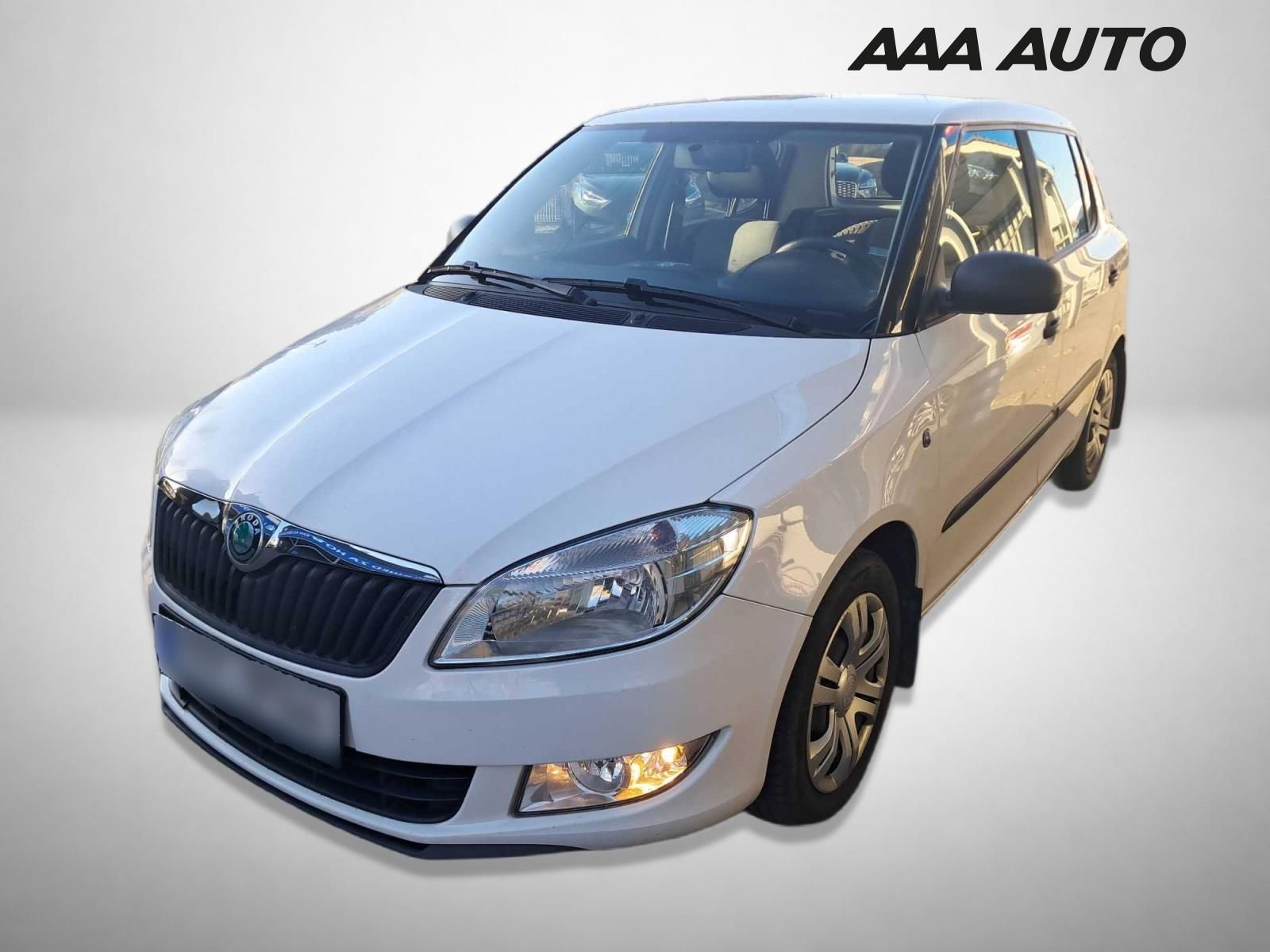 Škoda Fabia, 1.2 12V, po STK, jezdí skvěle