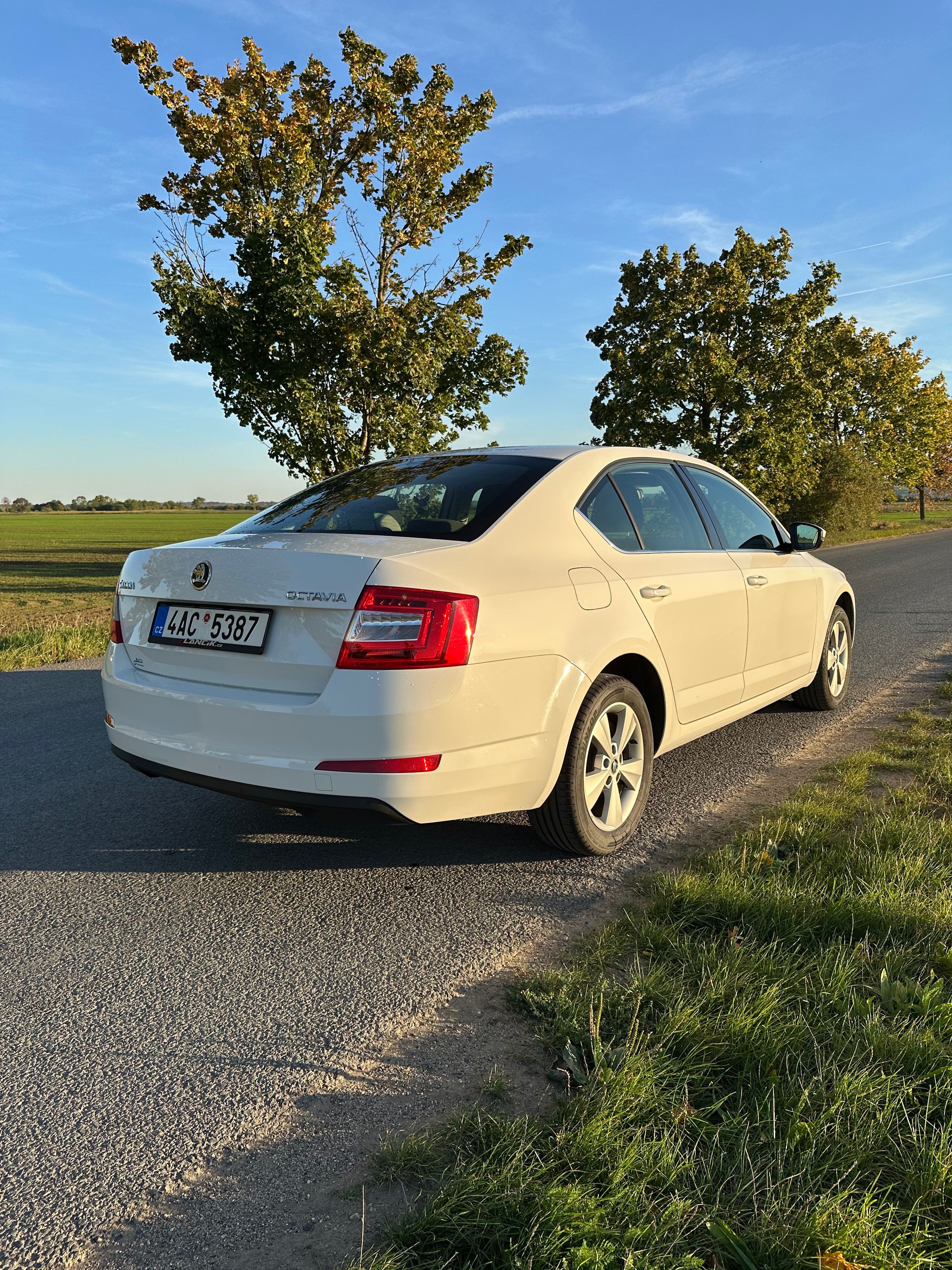 Škoda Octavia, 1.4 Tsi, 2maj.ČR původ - fotka 4