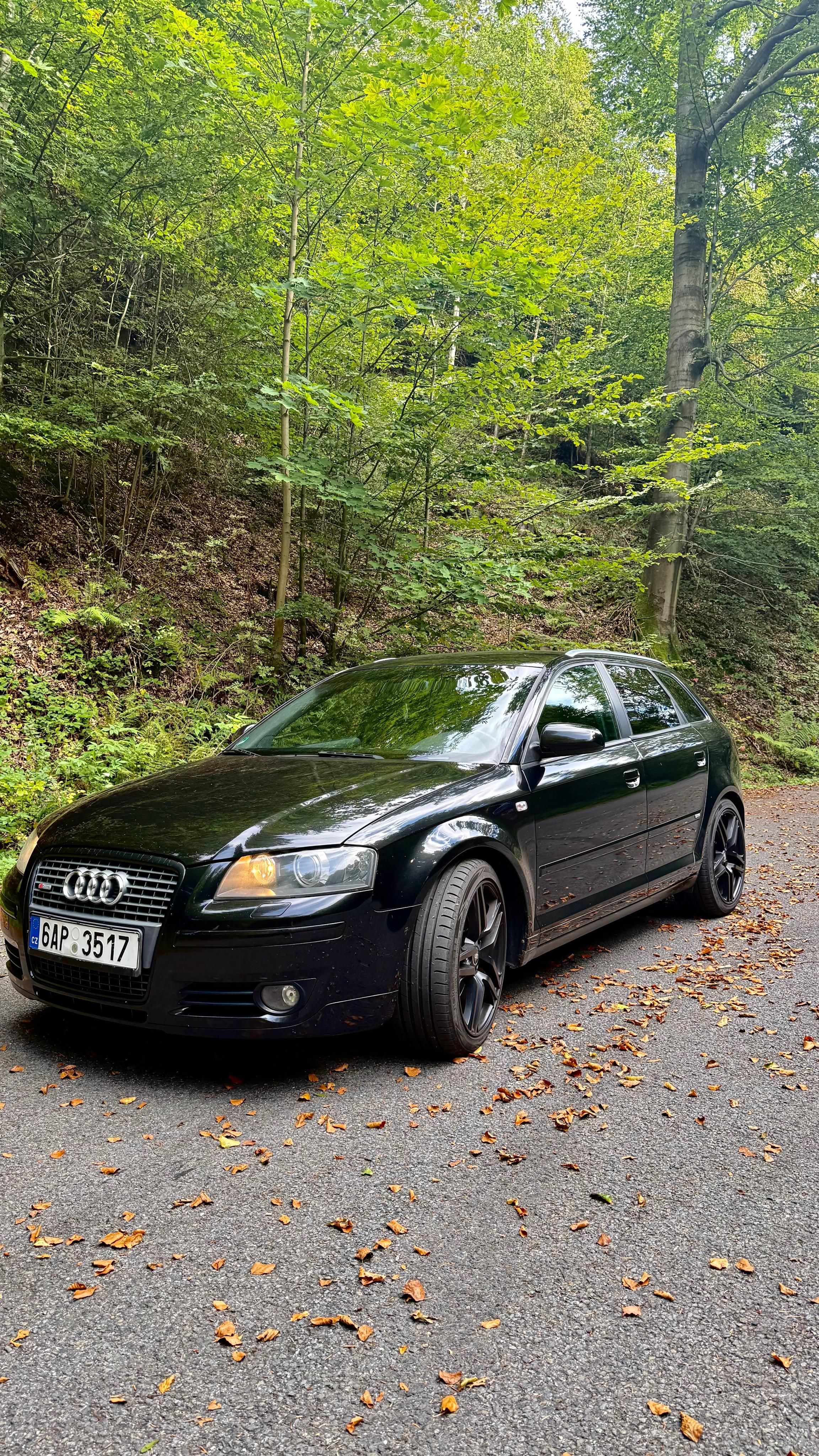 Audi A3, Audi A3 Sportback 2.0 TDI