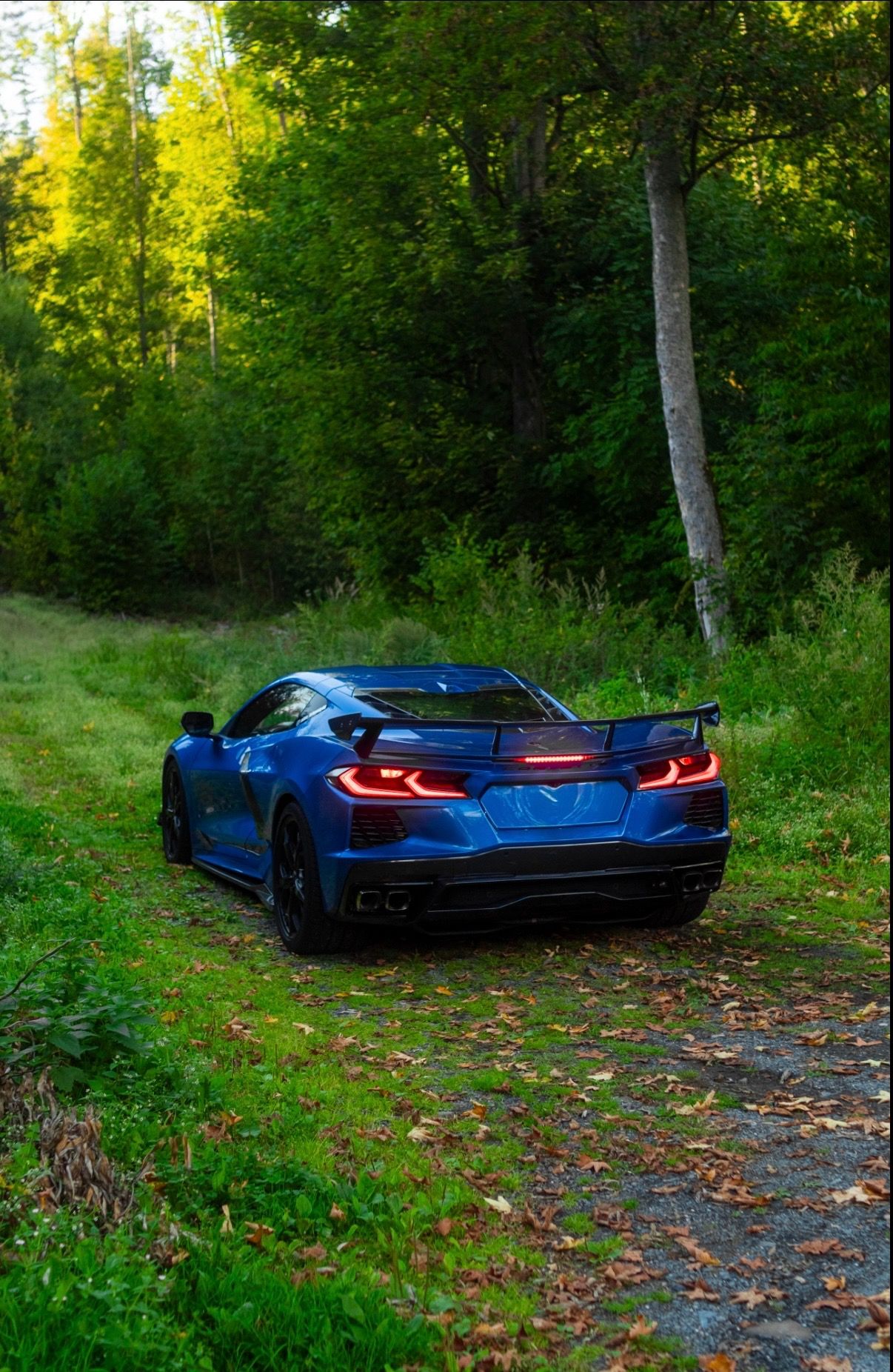 Chevrolet Corvette, C8 Stingray 3LT Z51 | carbon - fotka 5