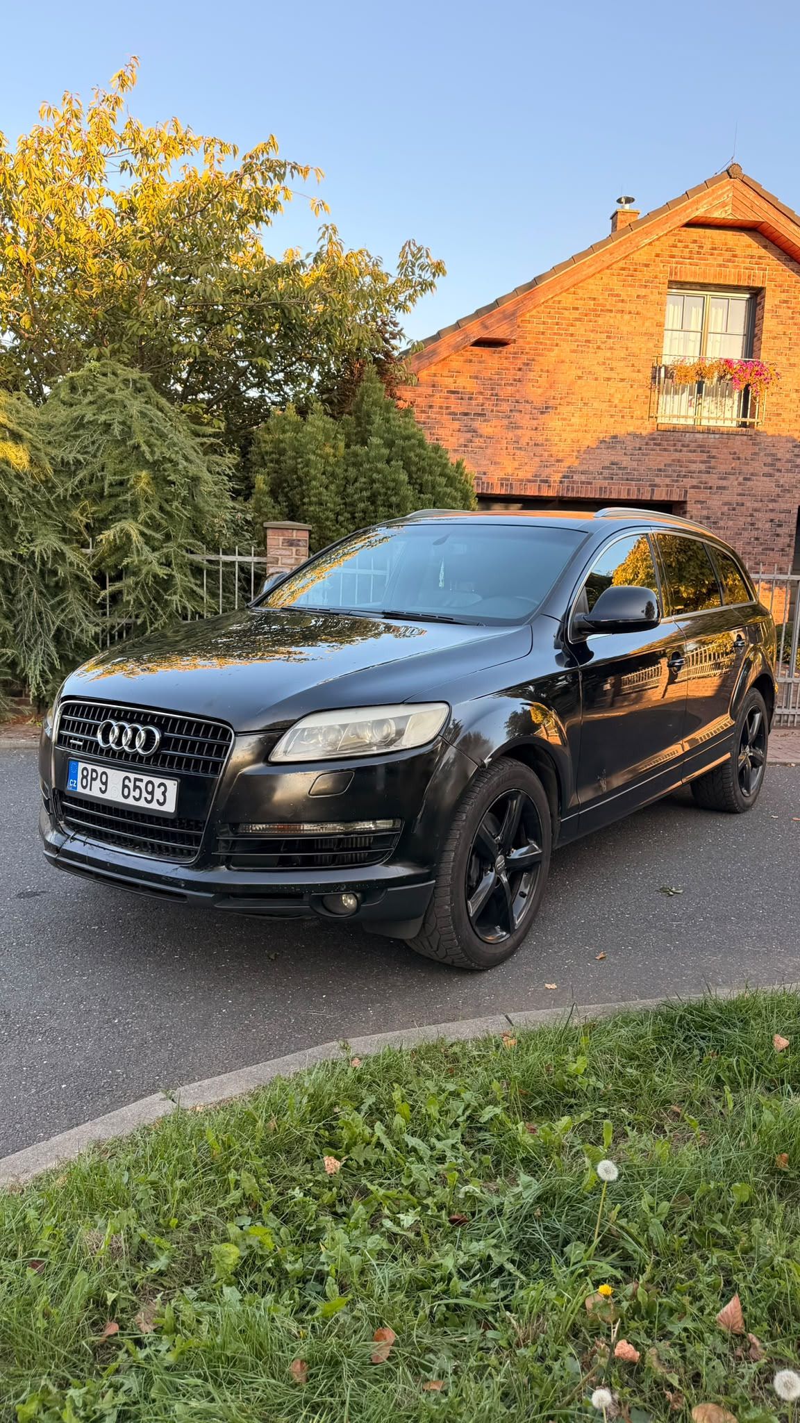 Audi Q7, 3.0 TDI V6 171 kW - tažné