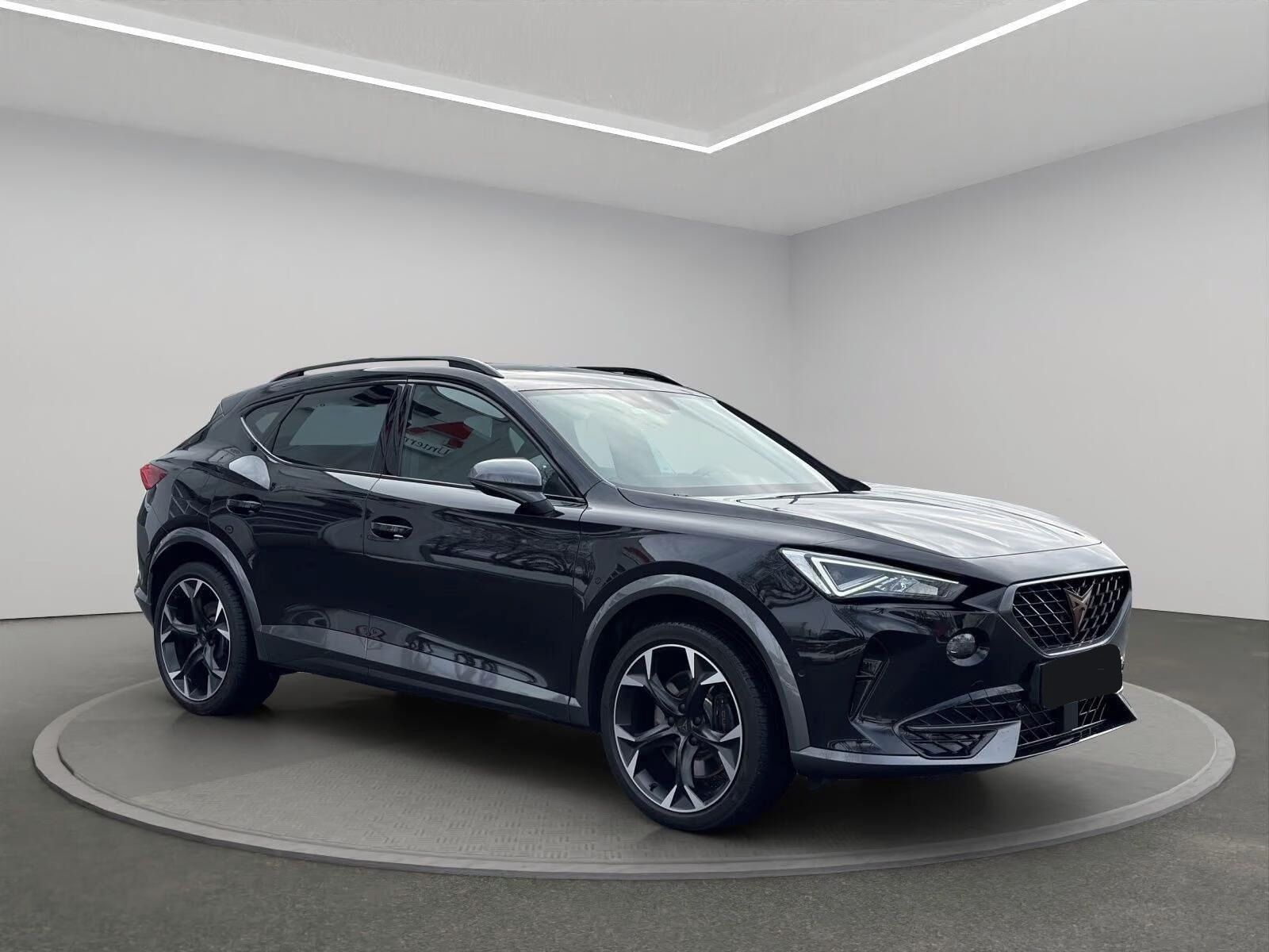 Cupra Formentor, VZ 2.0 TSI DSG *Kamera*Navi*