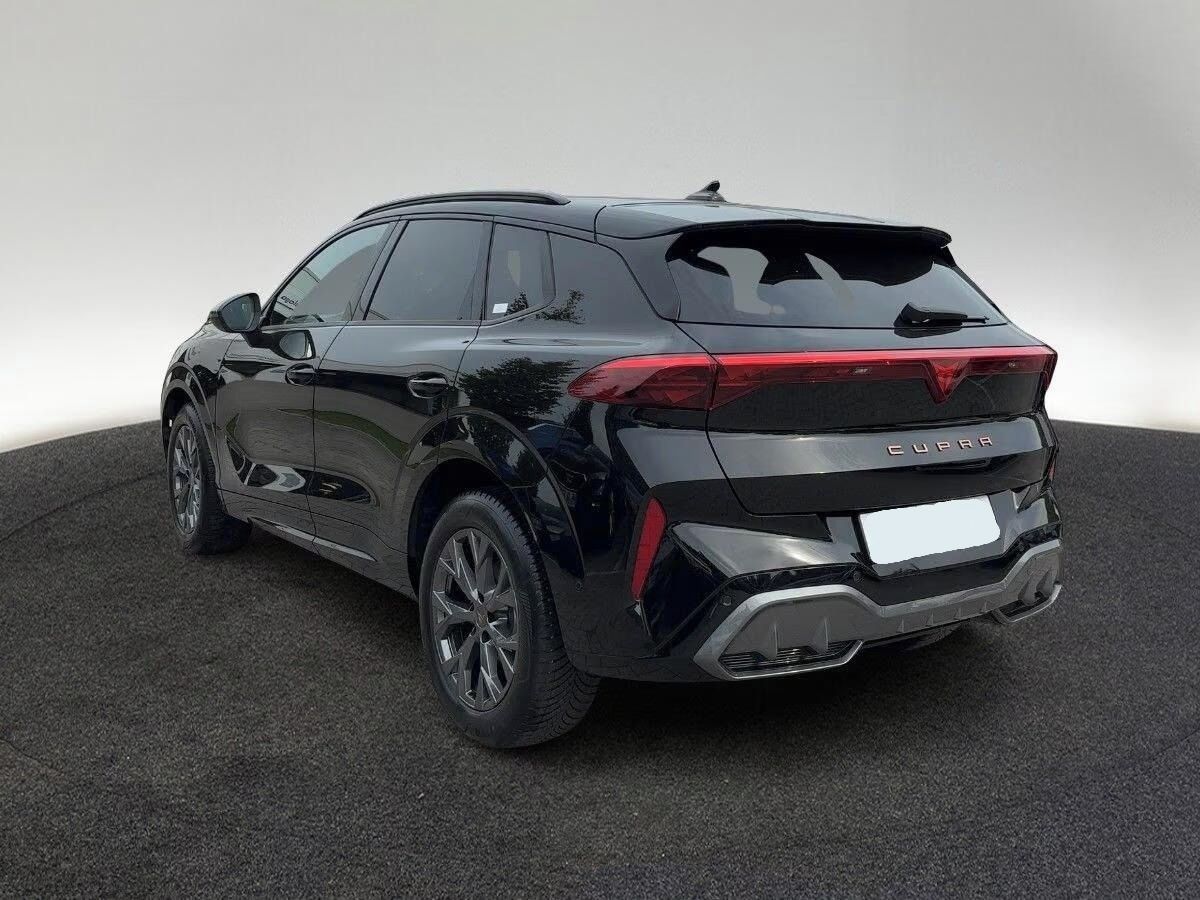 Cupra Terramar, 2.0 TSI 4Drive DSG*Kůže*Navi* - fotka 2