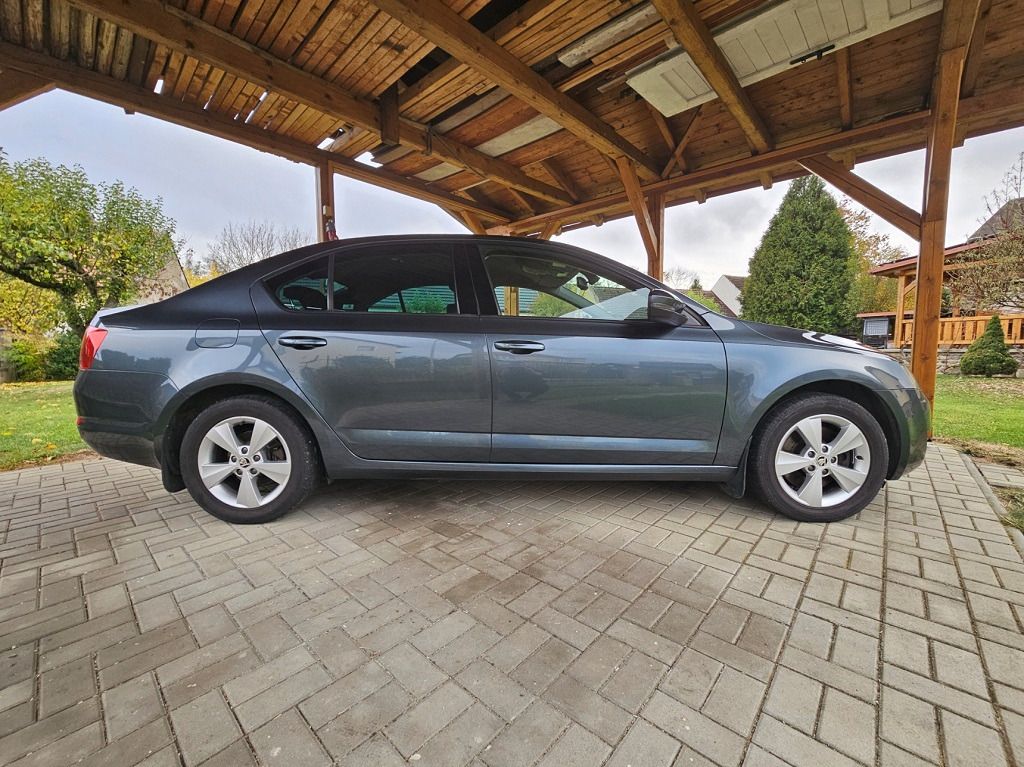 Škoda Octavia, 2.0TDI 135 kW DSG 4x4 Elegance - fotka 5
