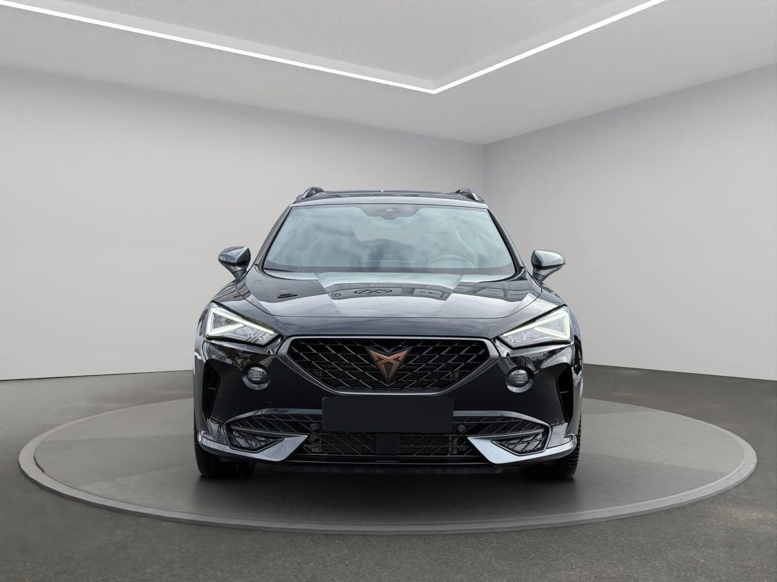 Cupra Formentor, VZ 2.0 TSI DSG *Kamera*Navi* - fotka 4