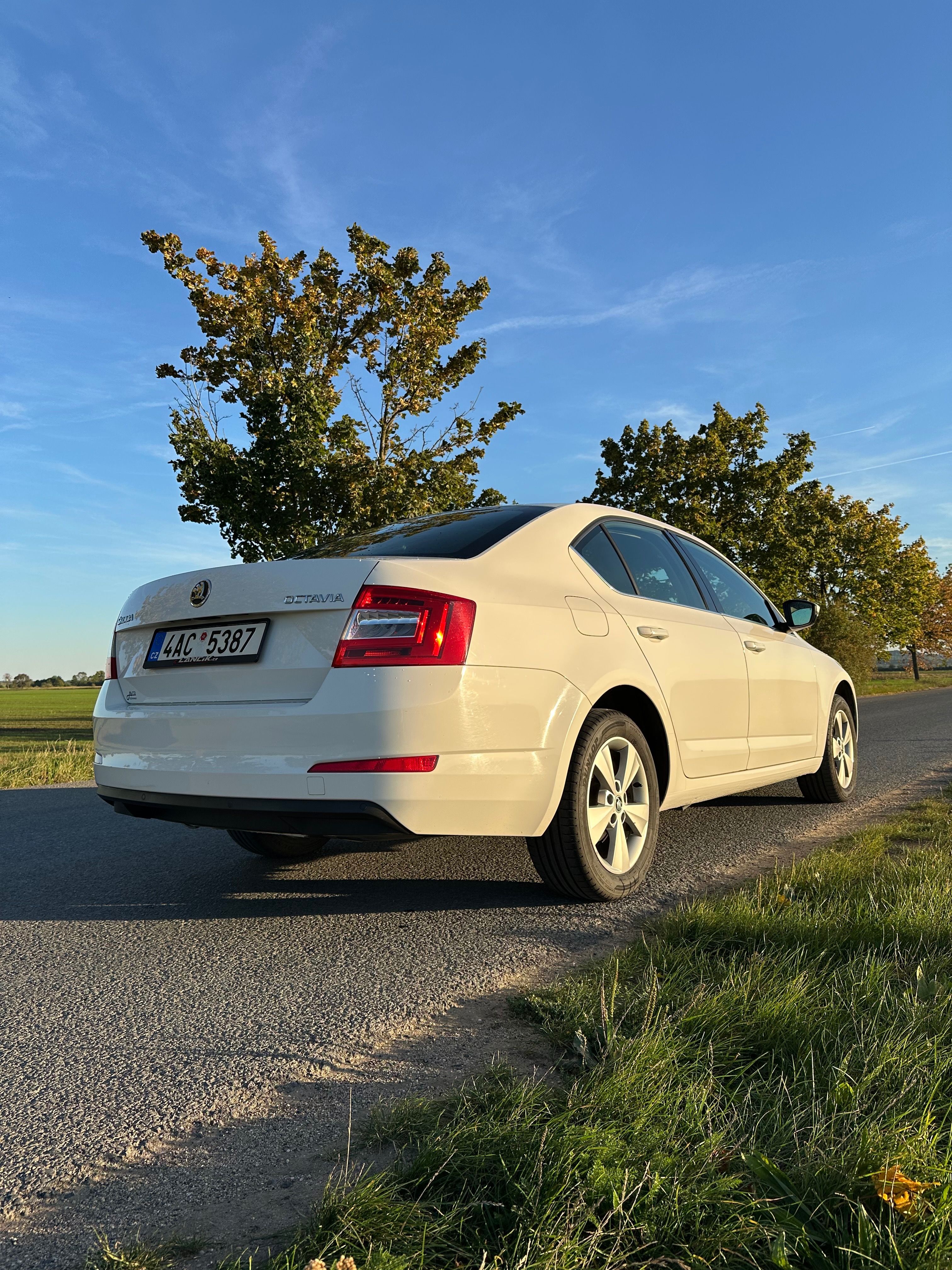 Škoda Octavia, 1.4 Tsi, 2maj.ČR původ - fotka 5