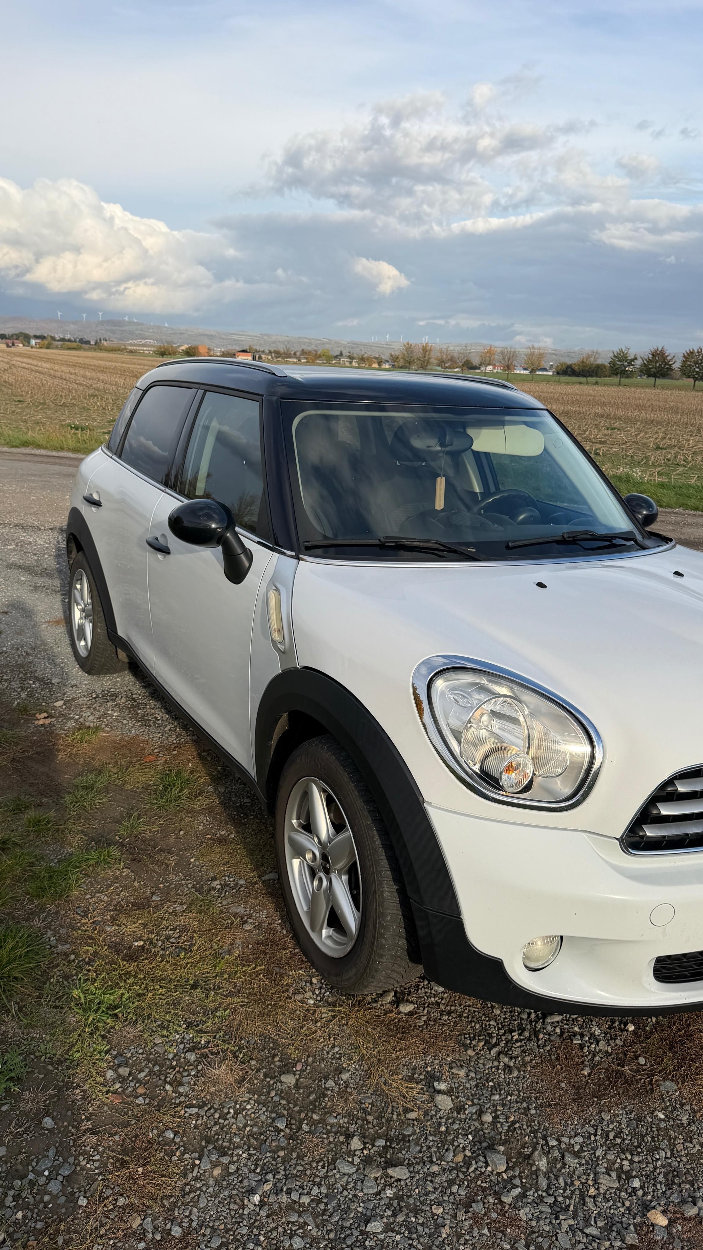 Mini Countryman, 2.0, 82kw, 2013 - fotka 3